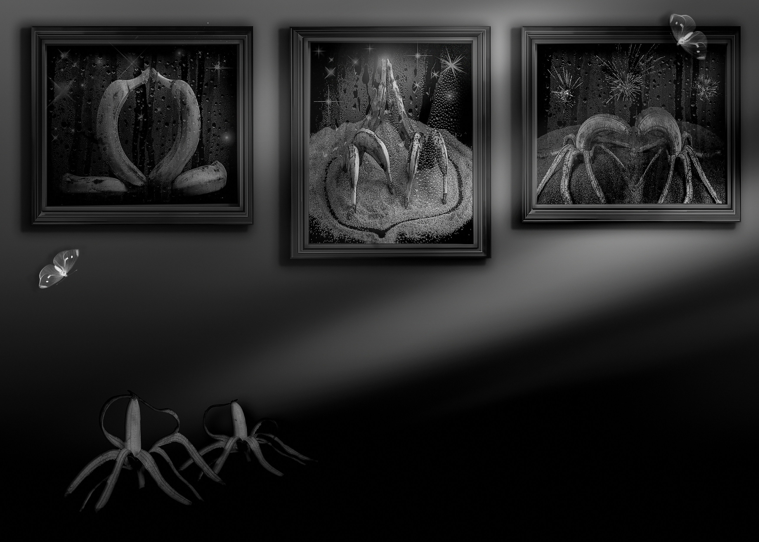 Банановая галлерея. Медиапродюсер, фотограф в Минеральных Водах —Виктор Холодов