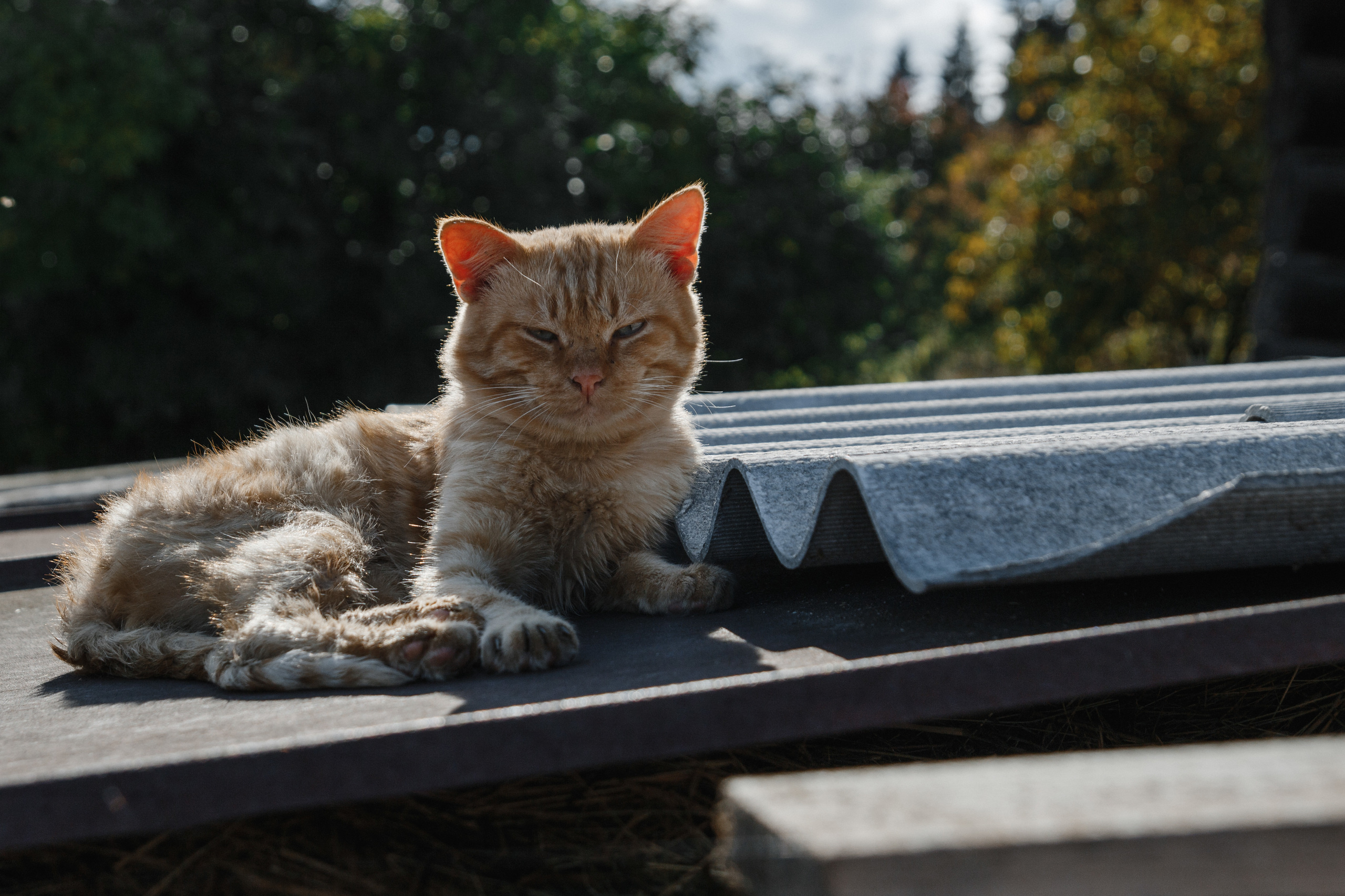 NOIR VILLAGE. Фотограф Event | Портрет | Реклама. Екатеринбург→Москва→Санкт-Петербург | Александр Братилов