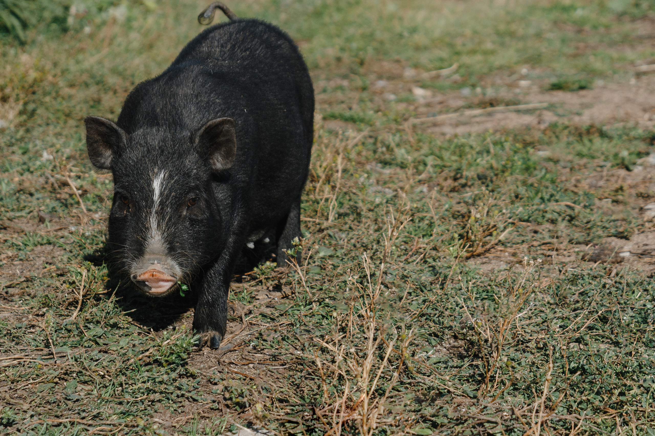 NOIR VILLAGE. Фотограф Event | Портрет | Реклама. Екатеринбург→Москва→Санкт-Петербург | Александр Братилов