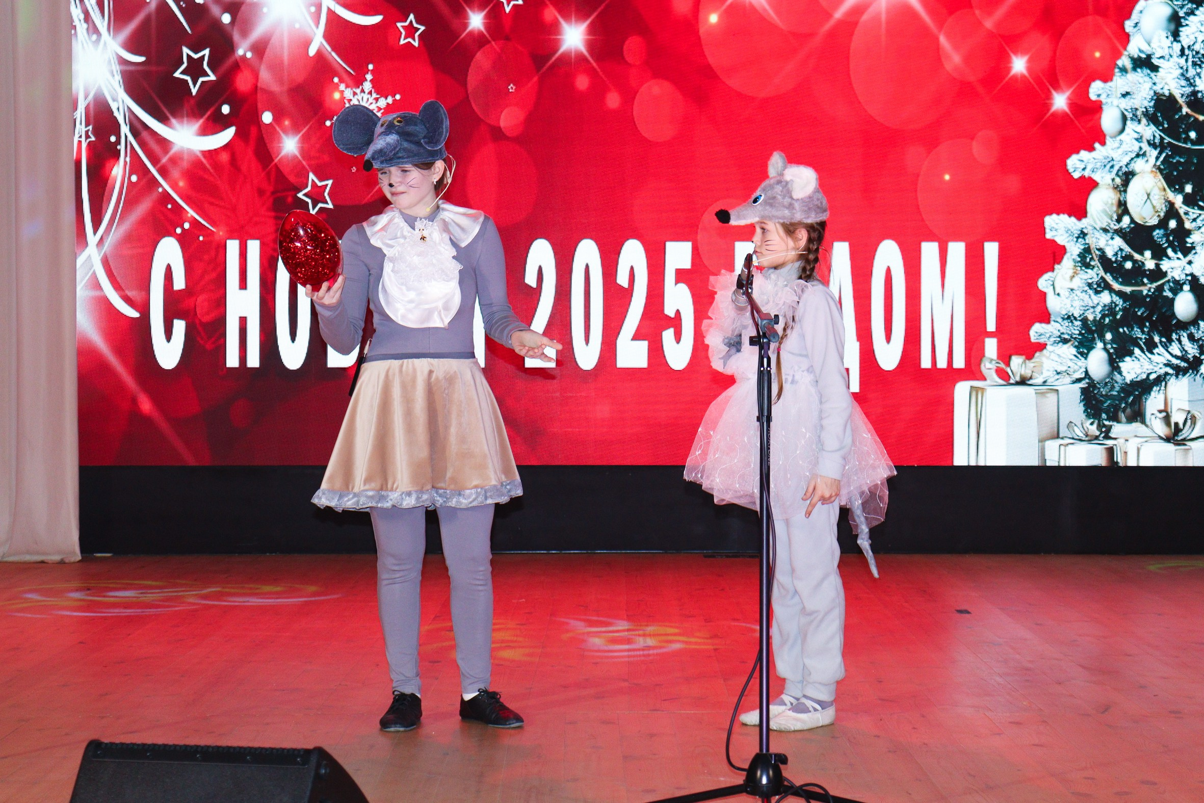 Новогодний концерт Шишли-Мышли