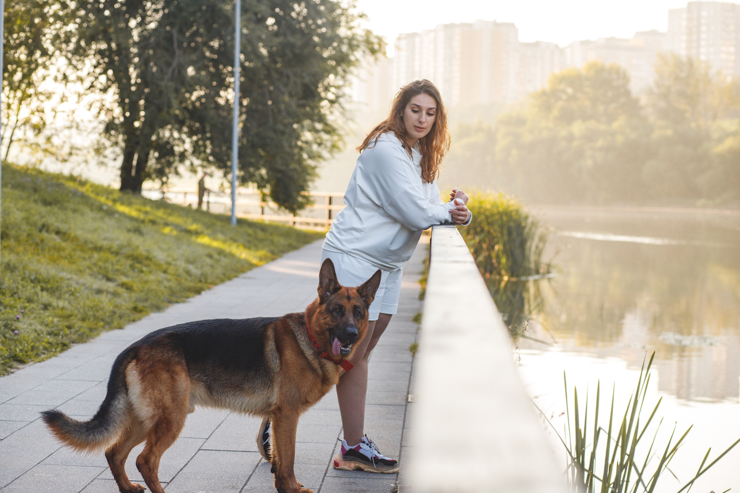 Фотопрогулка молодой девушки и ее собаки летним утром в парке. Семейный и школьный фотограф в Москве Анна Ткач
