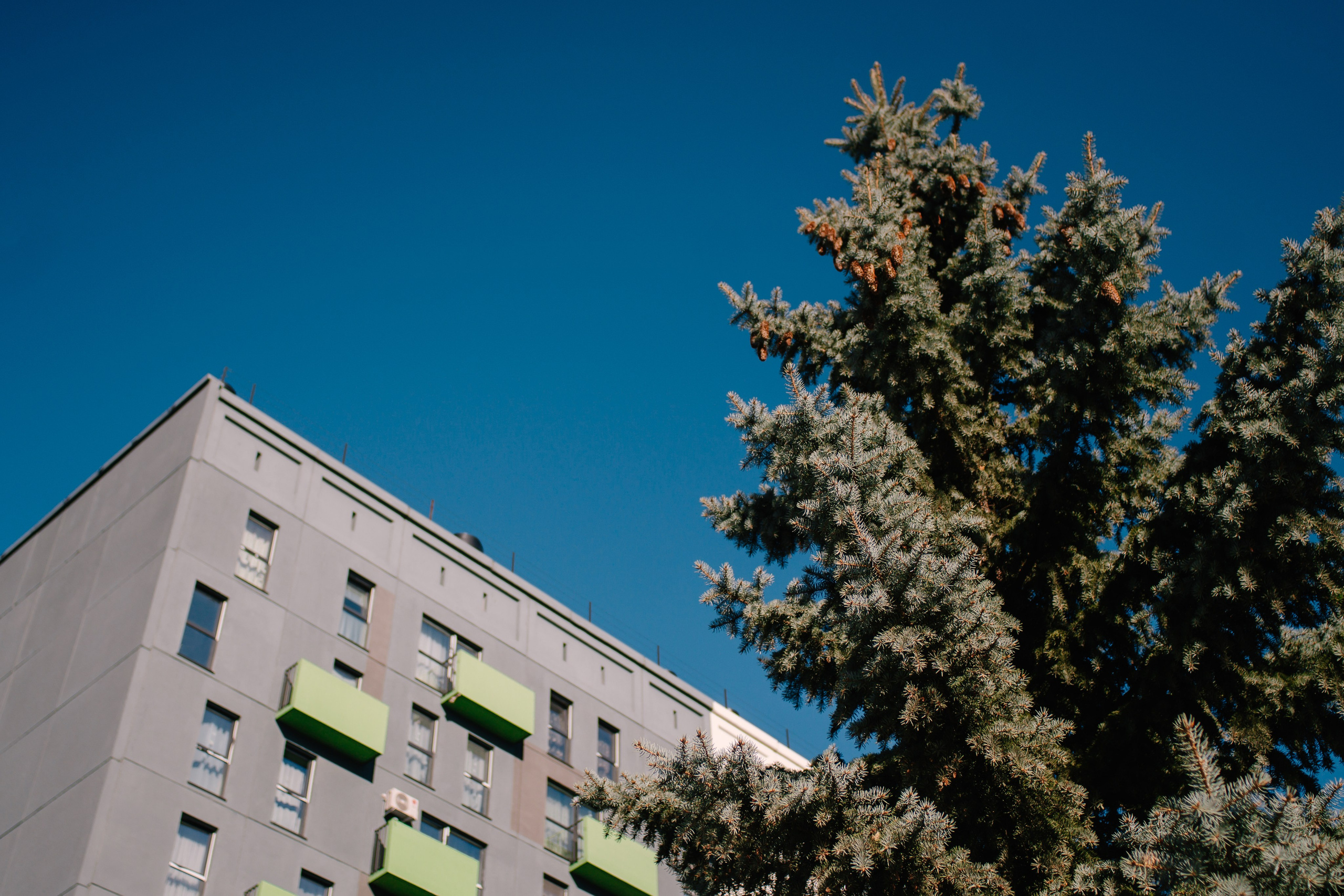 ЖК Никс. Фотограф в Челябинске Любовь Денисенко