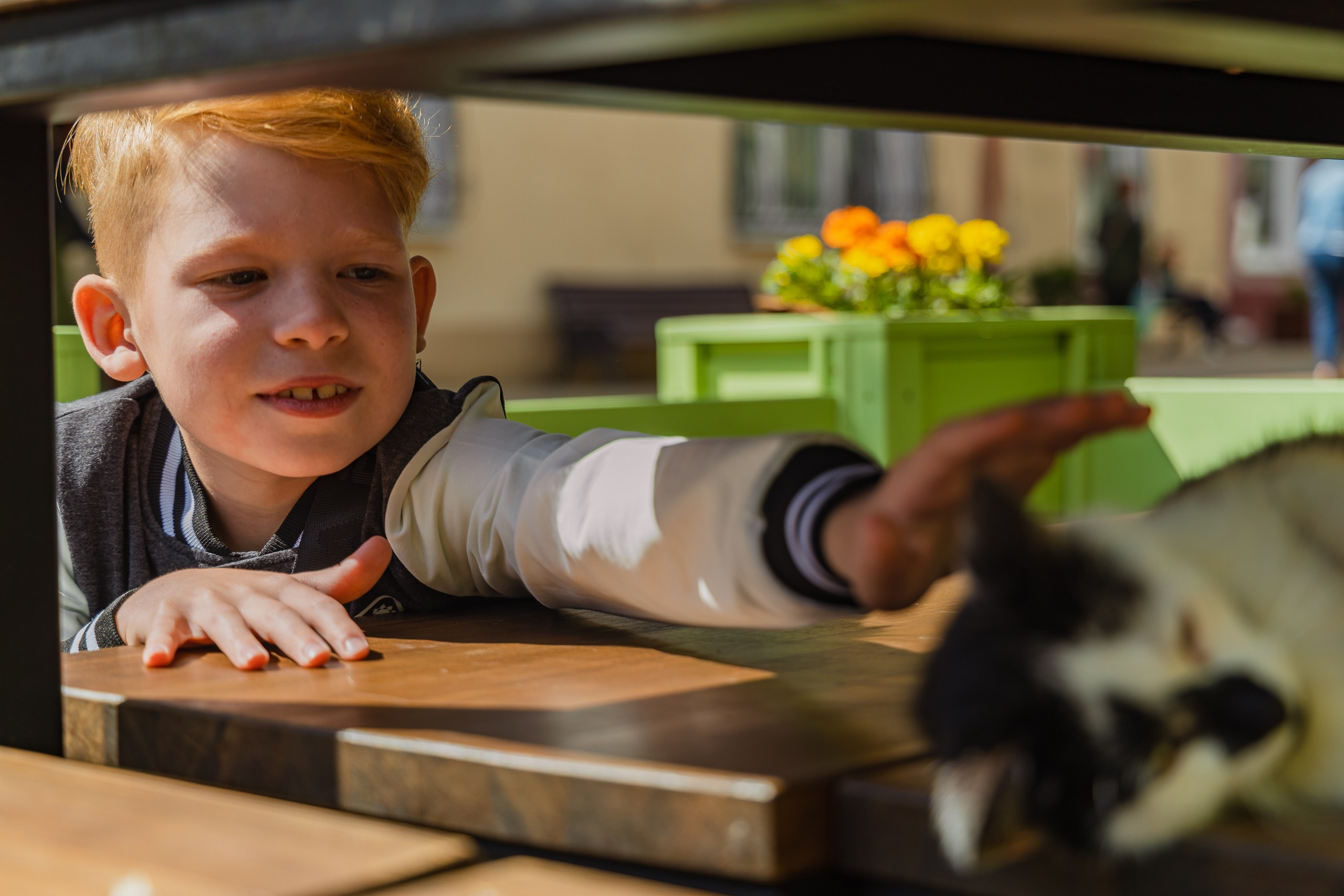 Зеленоградск | Прогулка по городу + выход на Центральный пляж. Фотограф Елена Медок Калининград