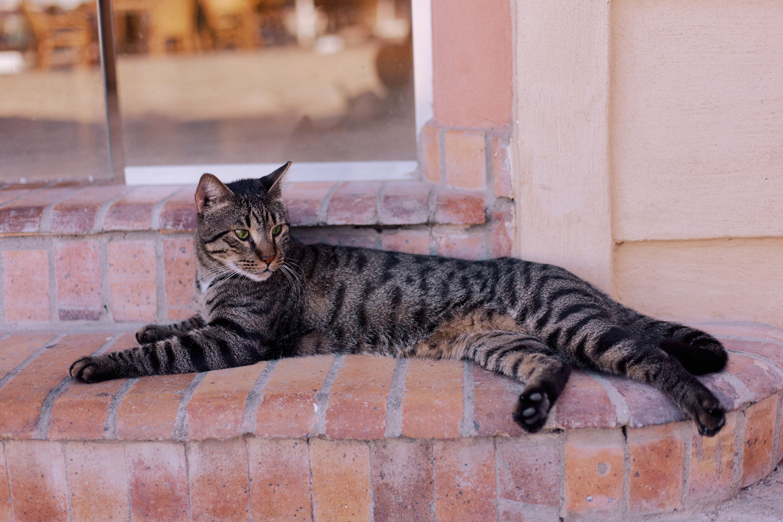 Другое 3. Jorgis Talè — photographer, kind person, teacher of arts and other mag