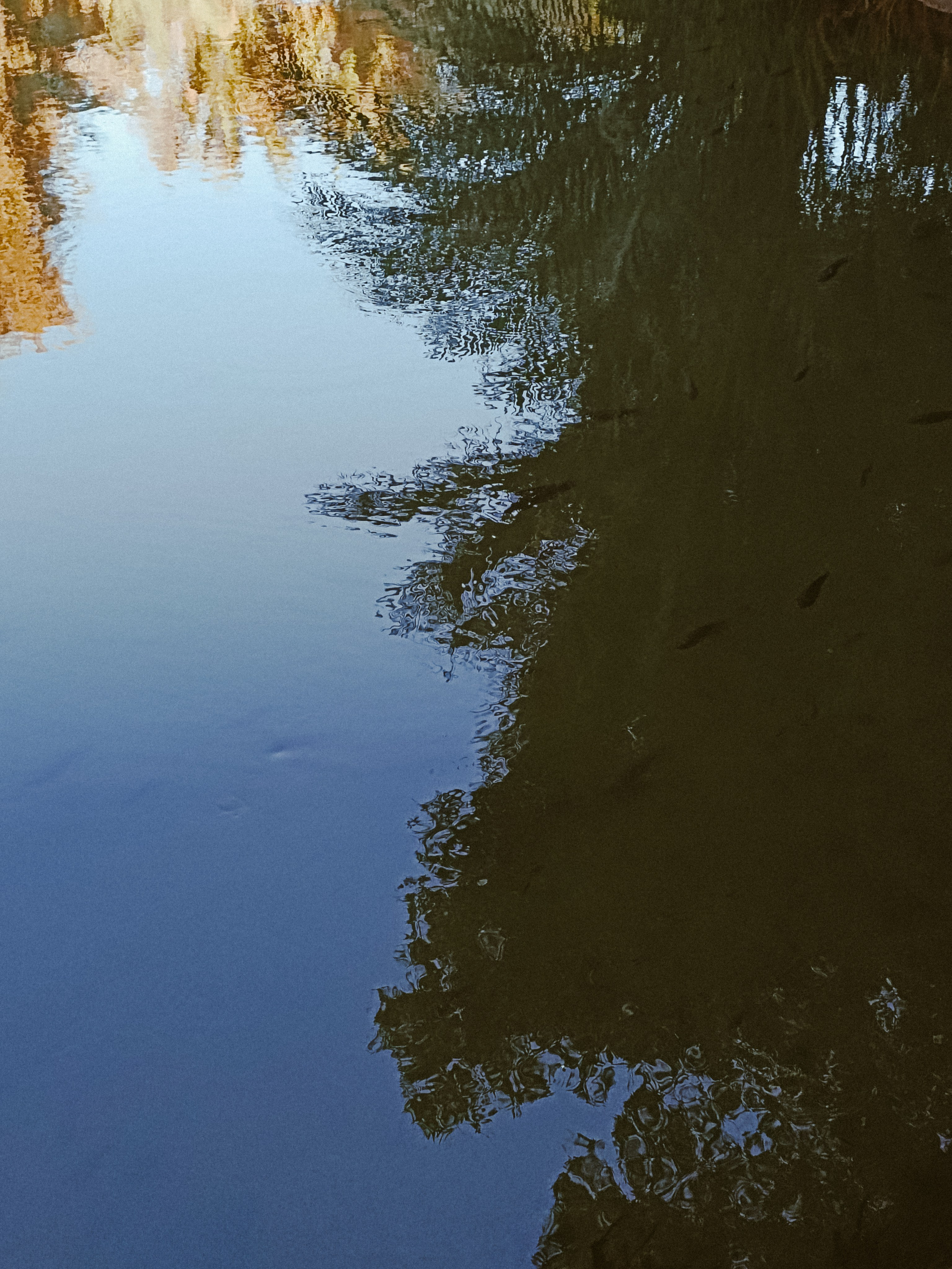 Мобильная. Jorgis — фотограф в Хургаде / обучение фотографии