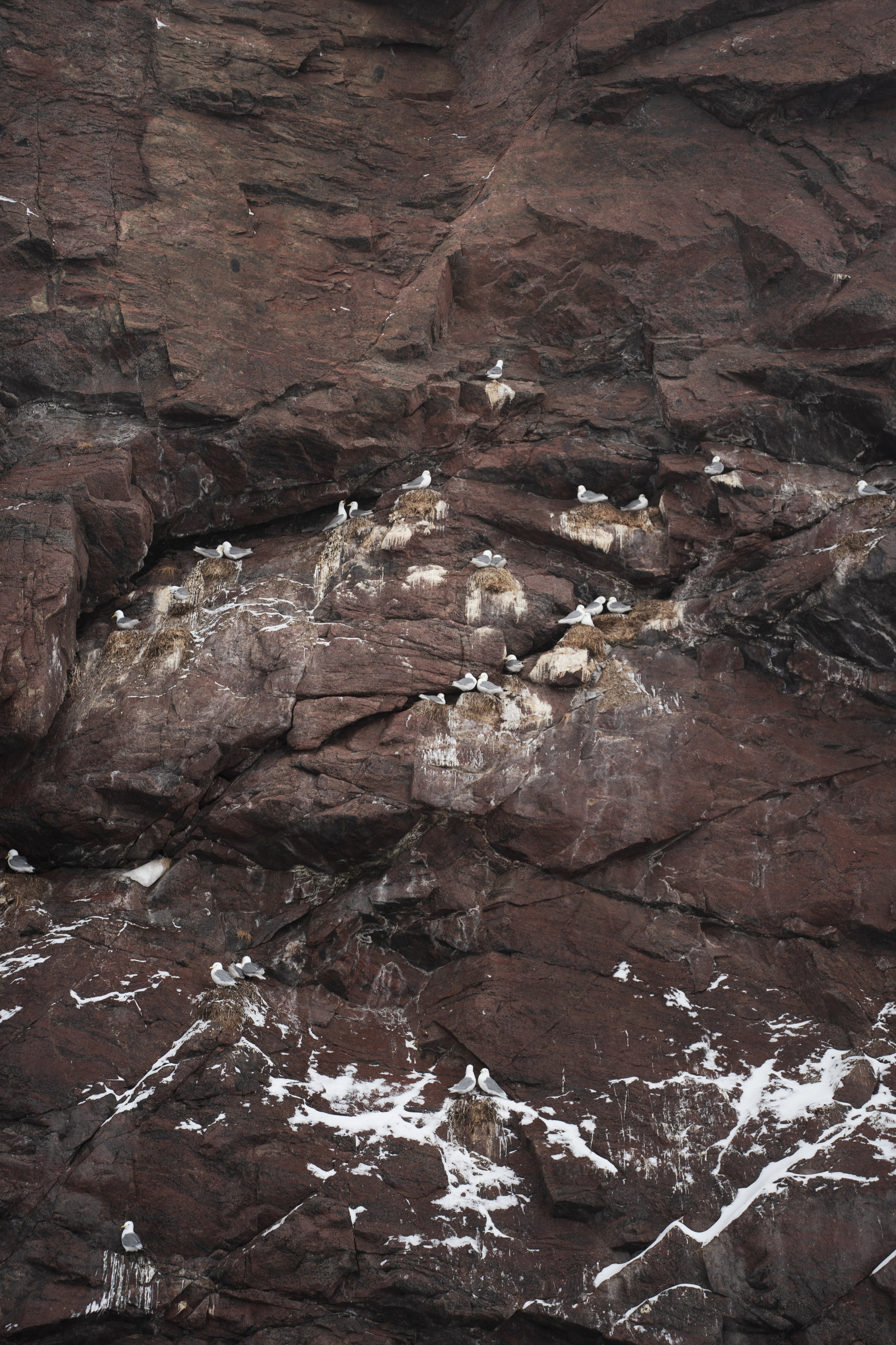 Териберка — репортаж тура Ковчег 51. Видеограф в Санкт-Петербурге Анастасия Коок