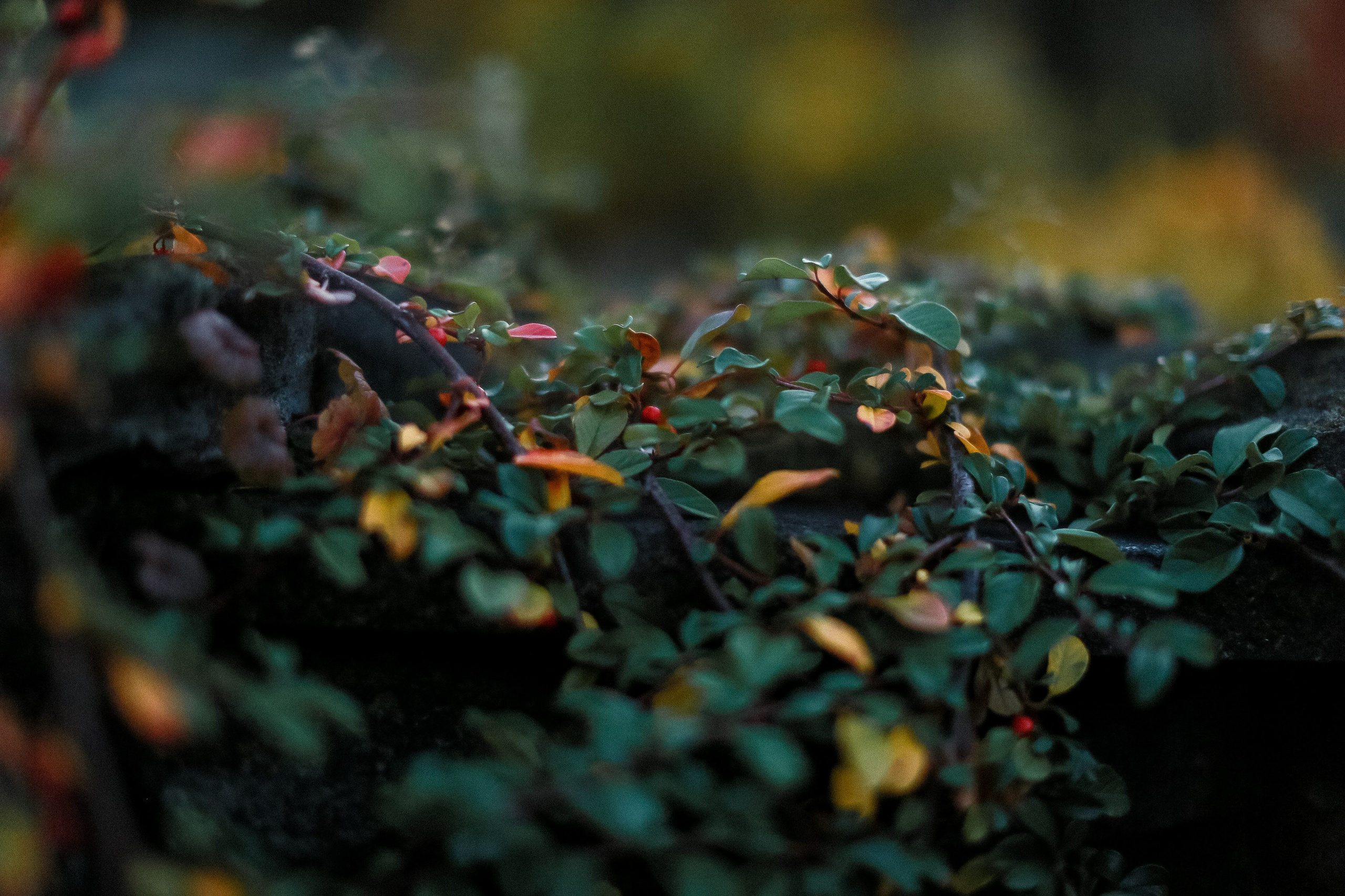 Магия обыкновенного. Фотограф-документалист и фототерапевт Настя Китаева. Город Москва