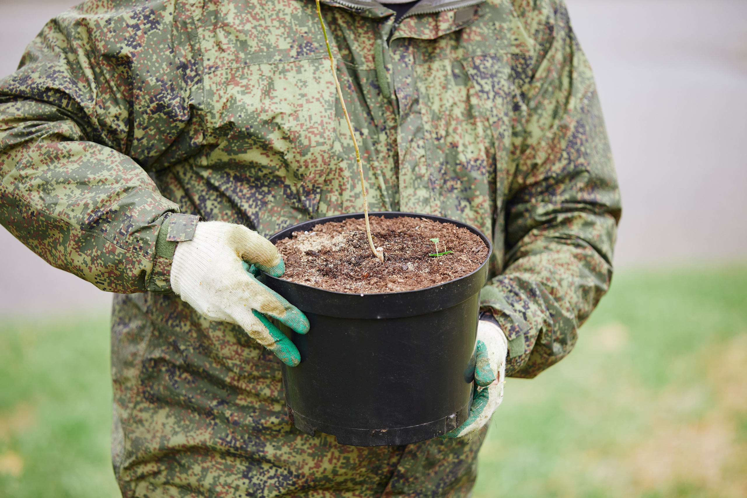 Акция «Зелёная Дубрава» на Куликовом поле. Даниил Гузиенко — репортажный фотограф в Туле