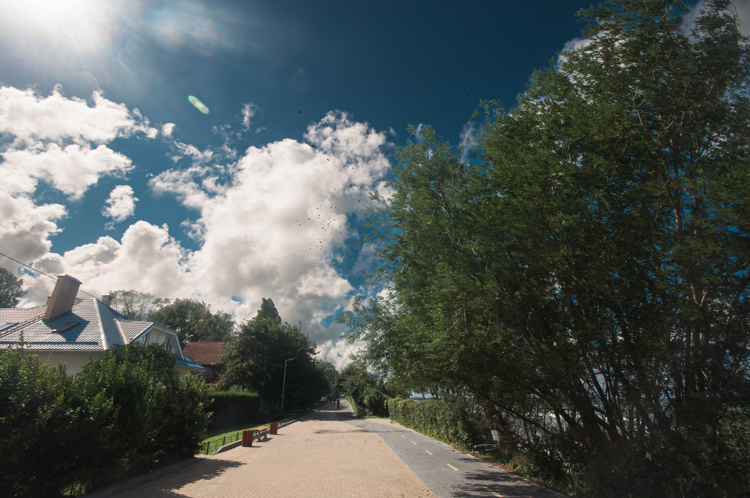 Калининград. Фотограф Шибков Константин