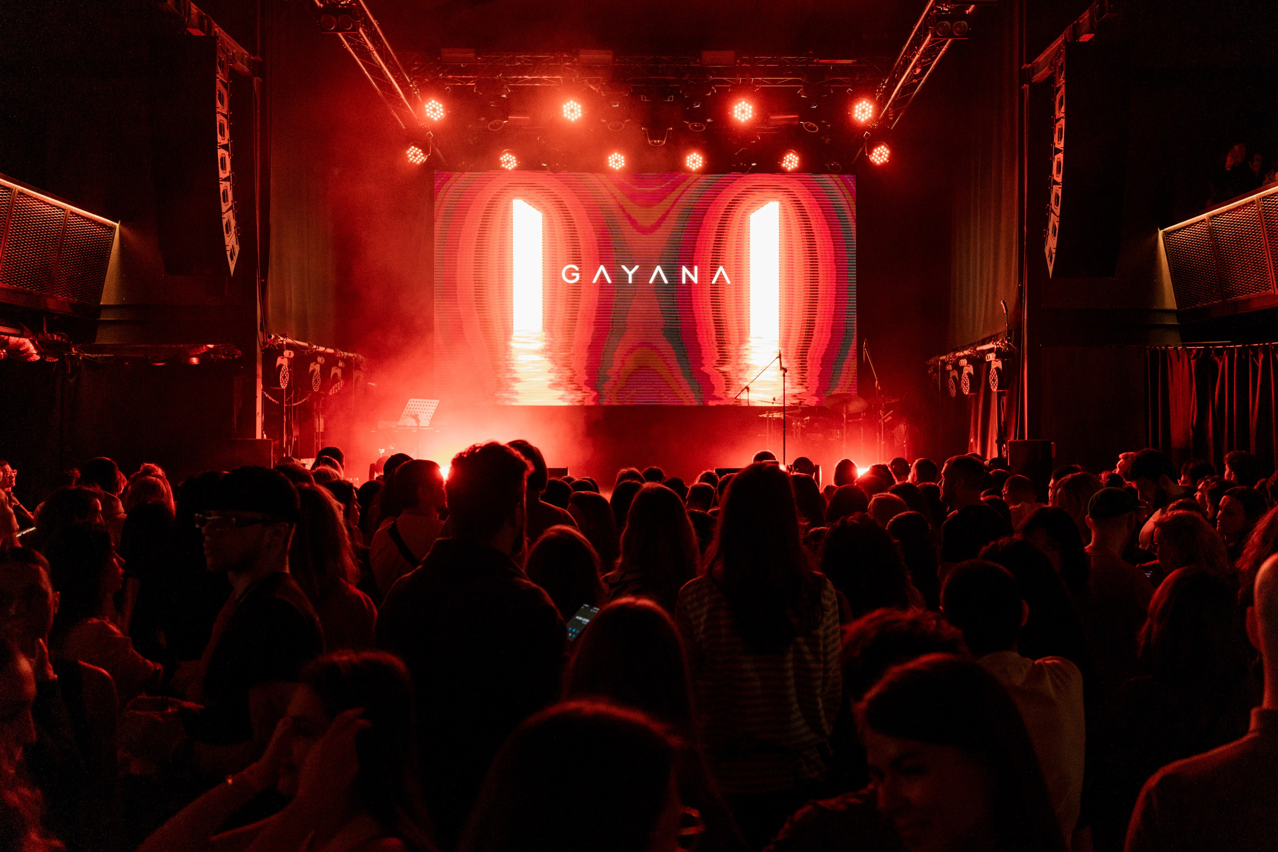 Gayana. Магия музыки в кадре: Концертная Фотография