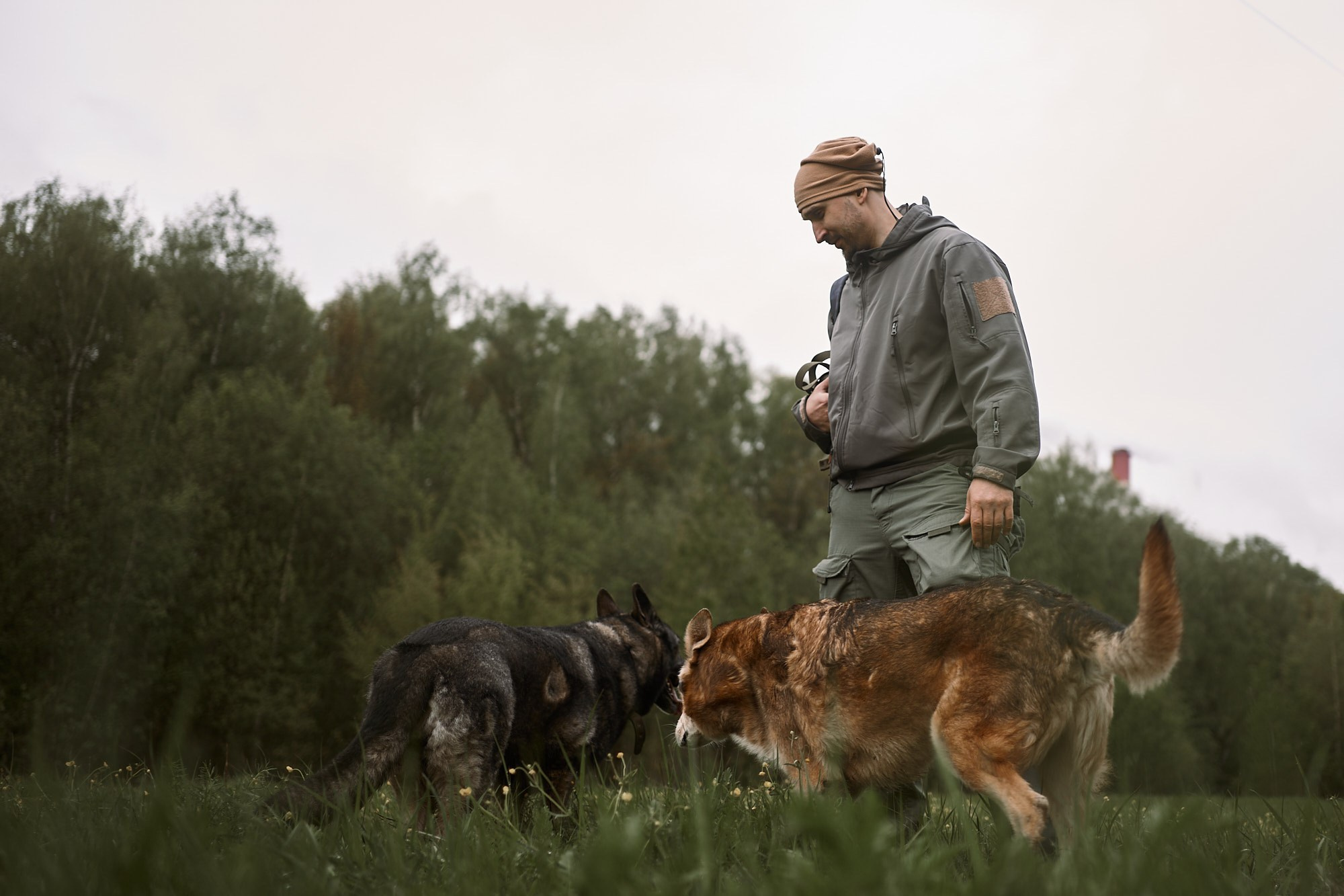 Дима, Рыжий и Воля. Фотограф анималист Москва Дарья