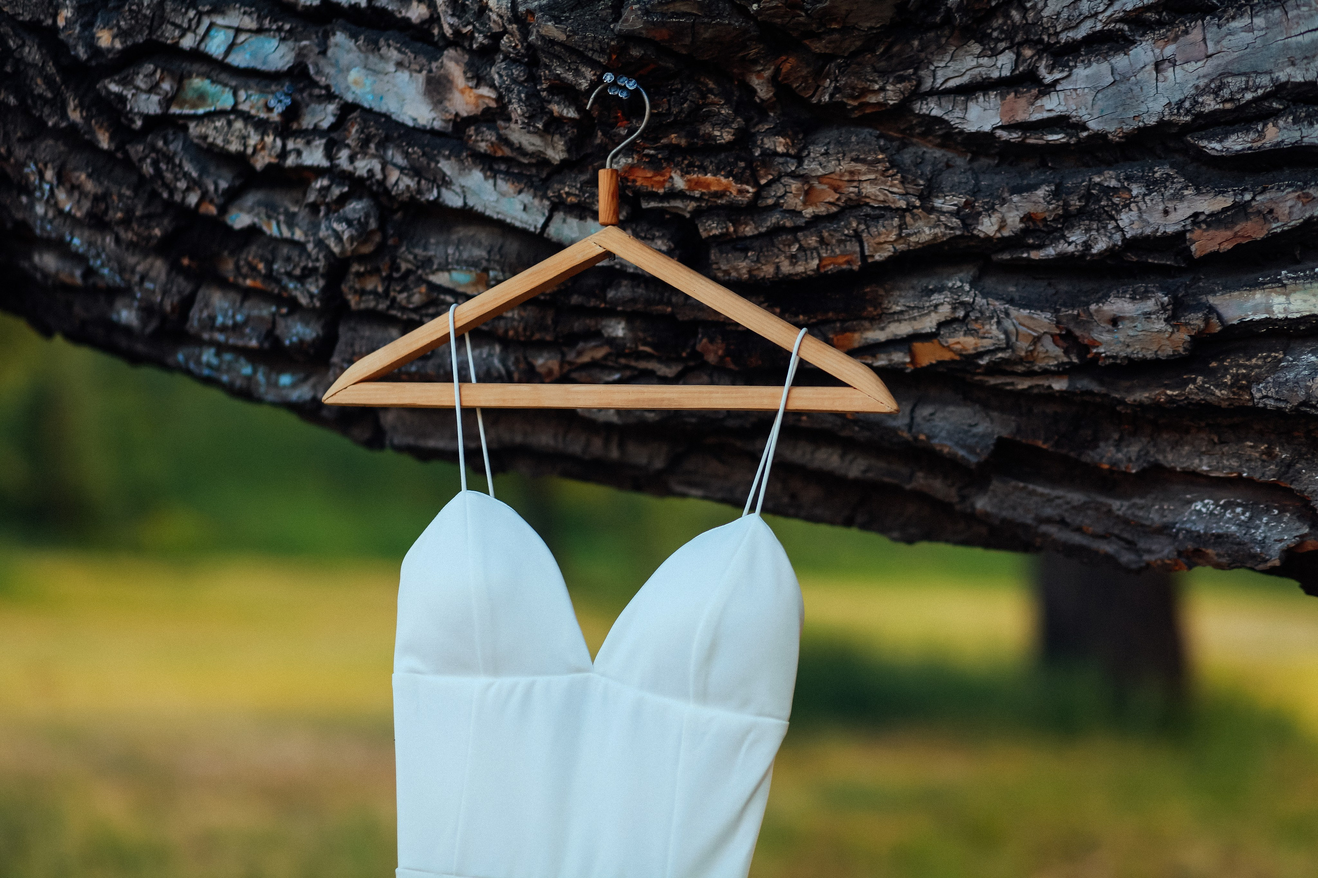 свадебное платье вешалка дерево лето природа