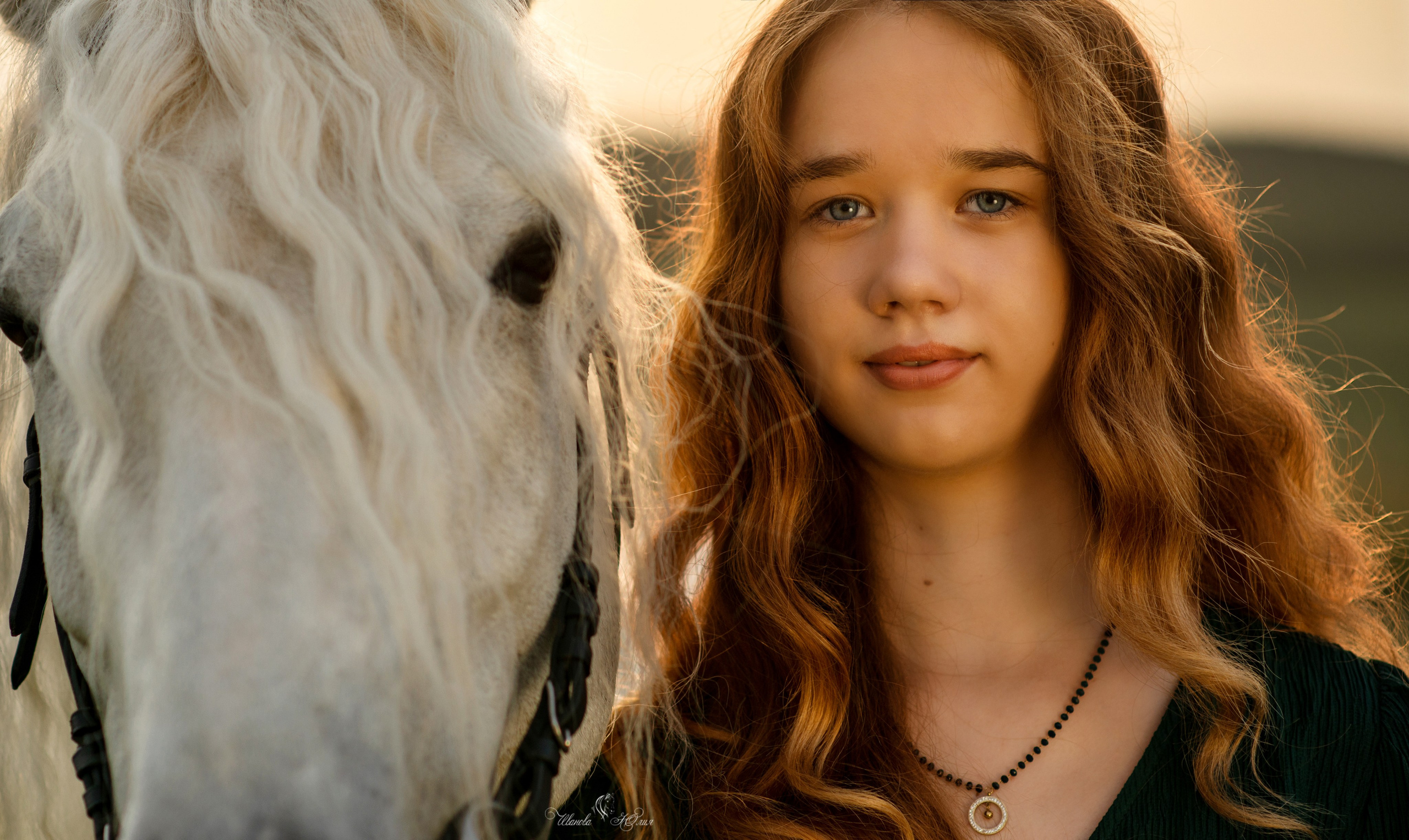 Виктория и Вымпел. Конный фотограф в Саратове Юлия Иванова