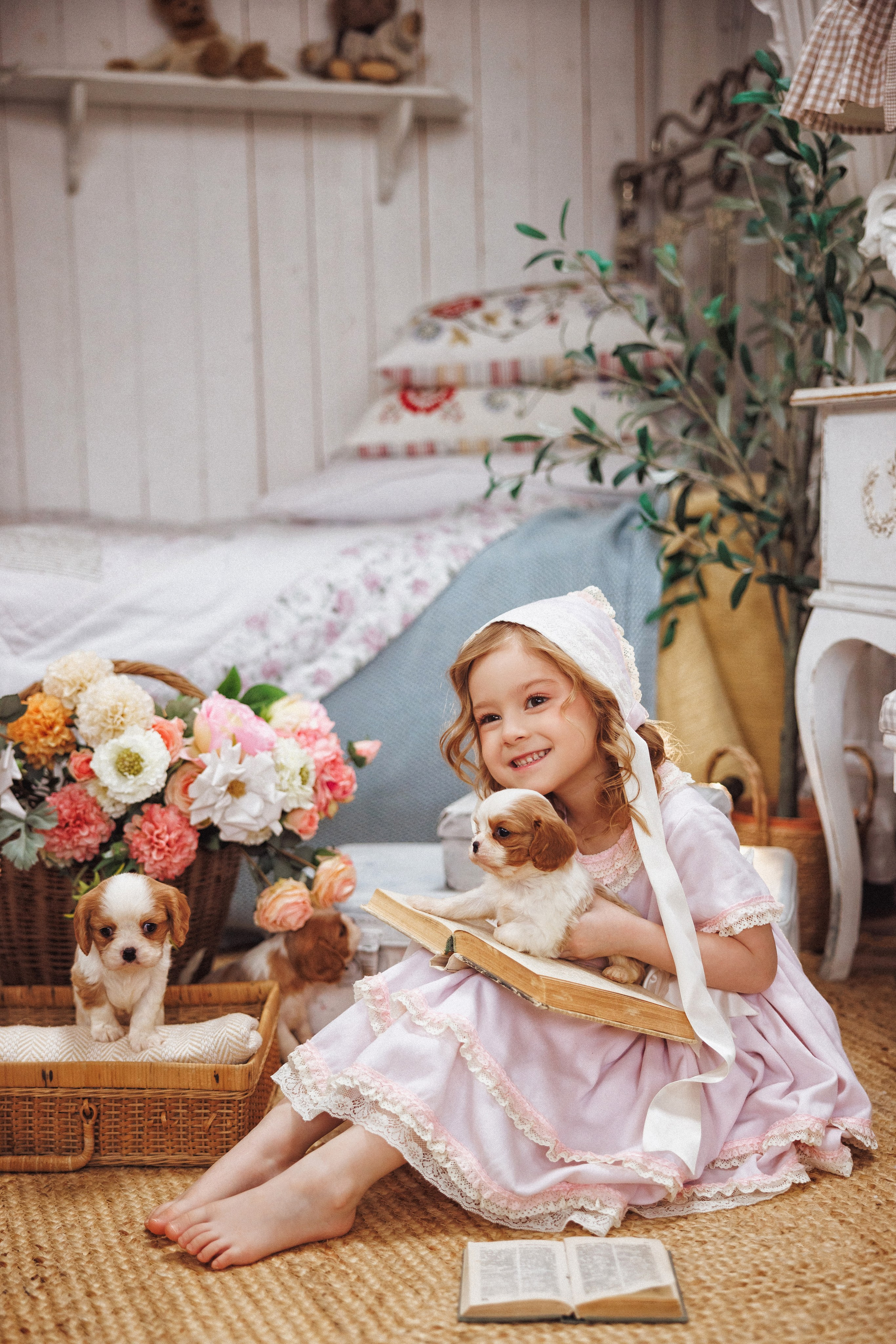 Фотосессия с щенками Кавалер кинг чарльз спаниель, фотостудия Ольги Сурухановой, город Краснодар. Семейный и детский фотограф в Краснодаре Анна Трашкова