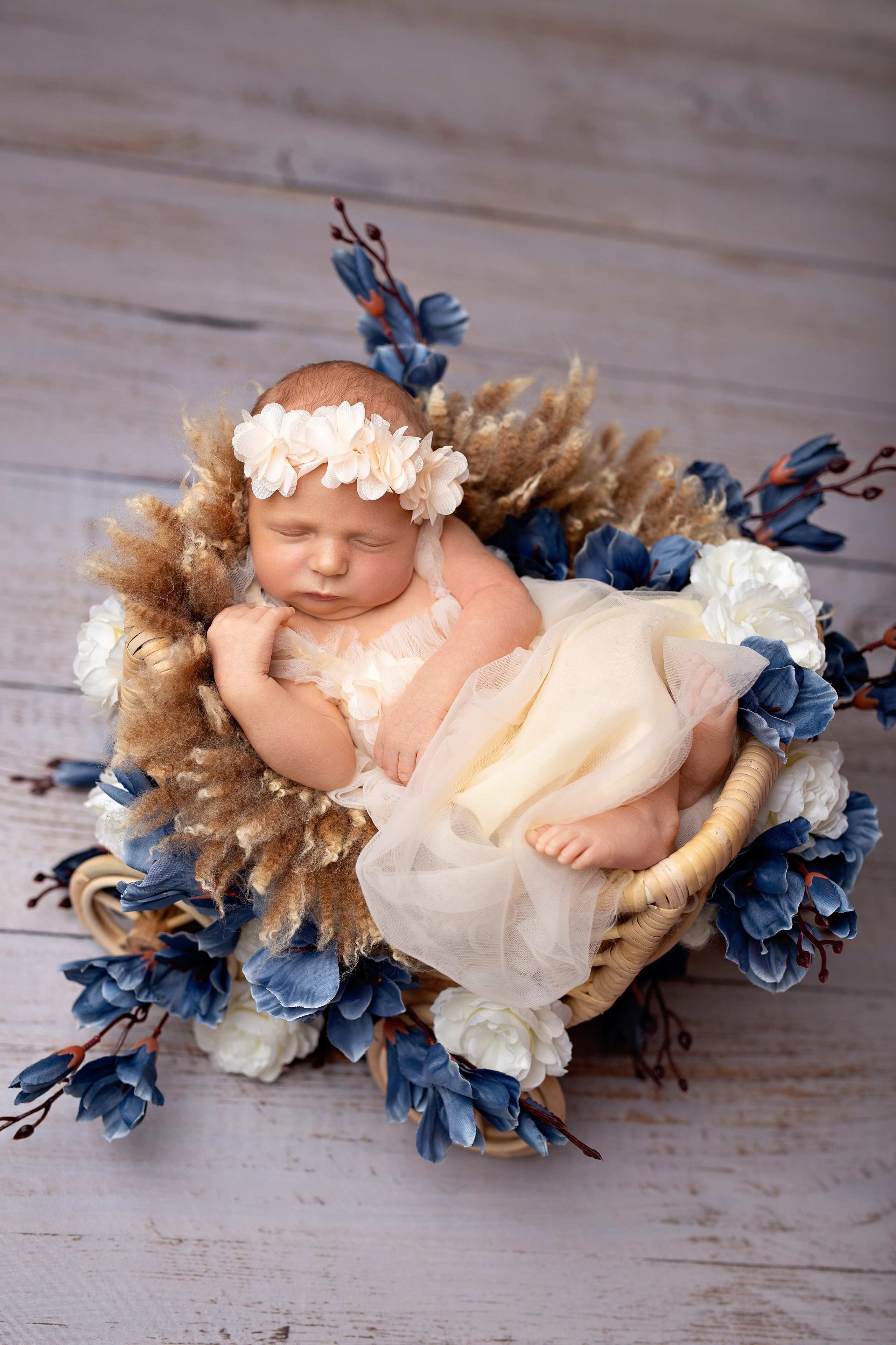 Фотограф новорожденных в Москве и Московской области Алина