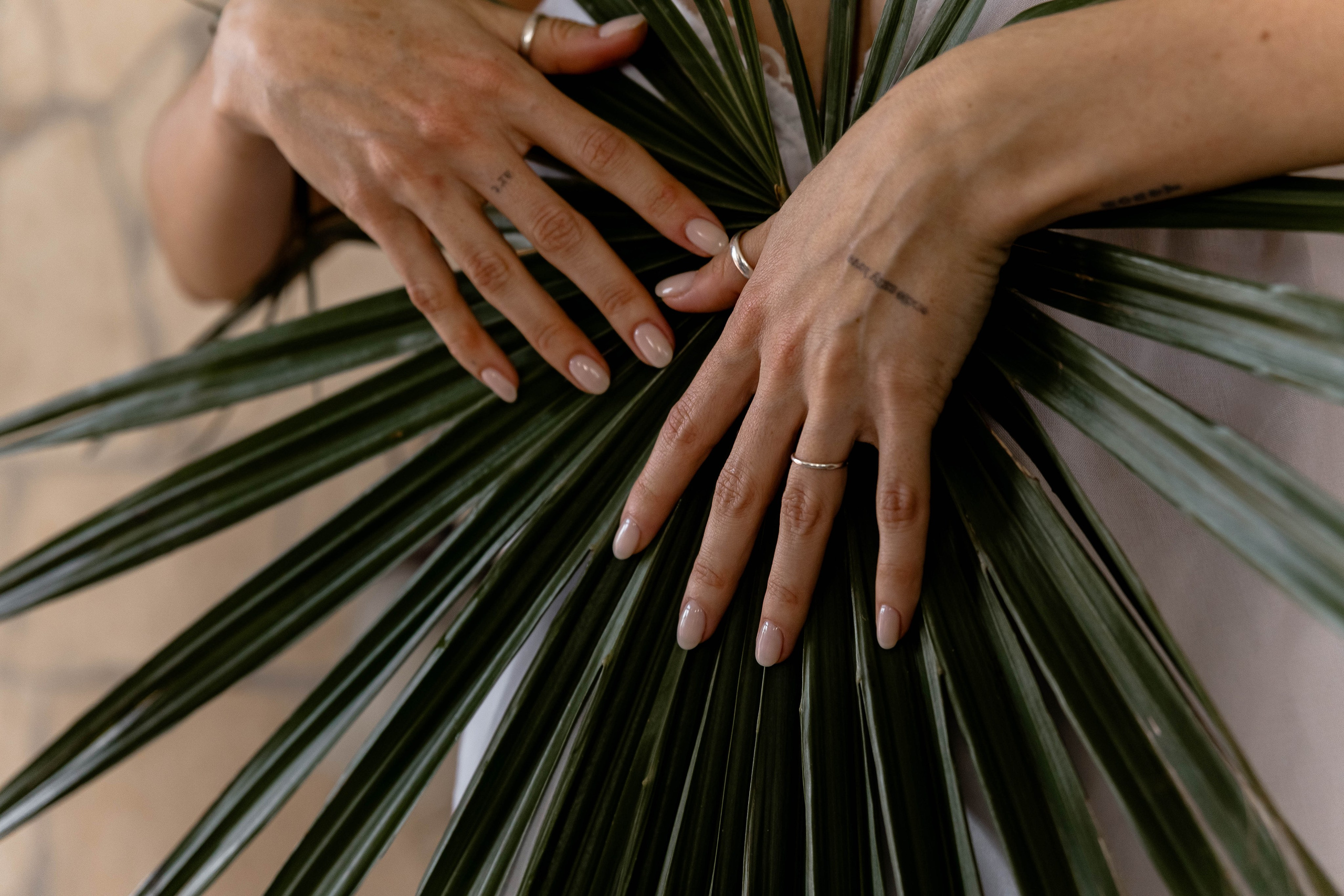 I T A L I A. Главная