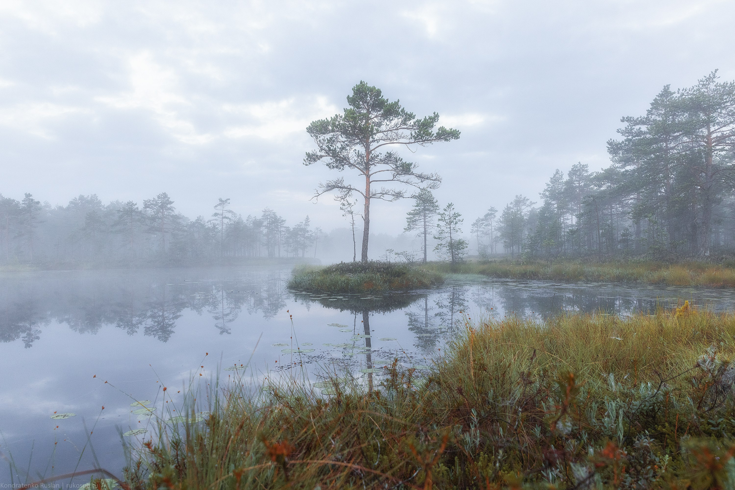 Ленинградская область. Архитектурный и пейзажный фотограф Кондратенко Руслан, Санкт-Петербург