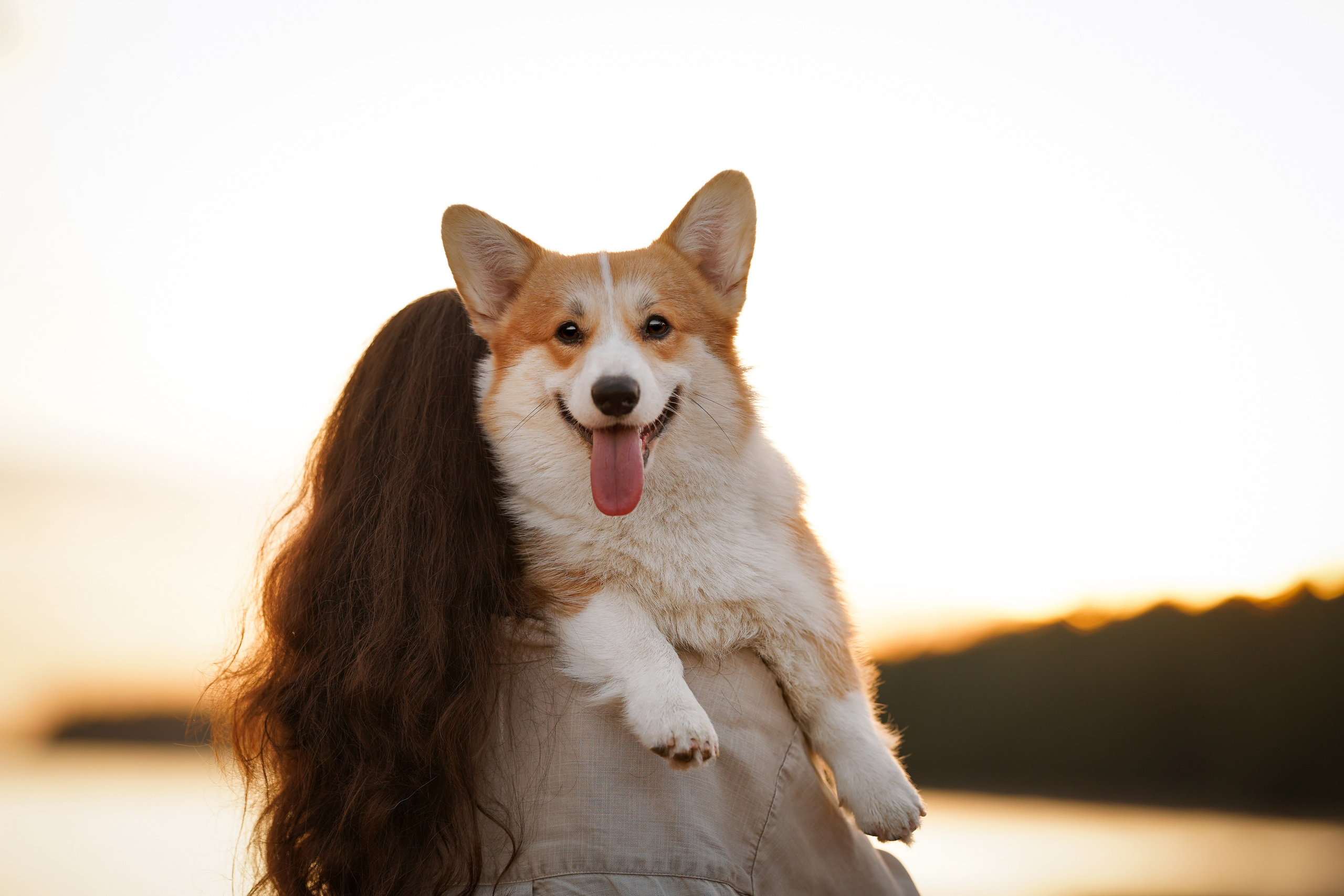 Катя Алиса и коржики. Фотограф-анималист в Санкт-Петербурге Яна Мартынова