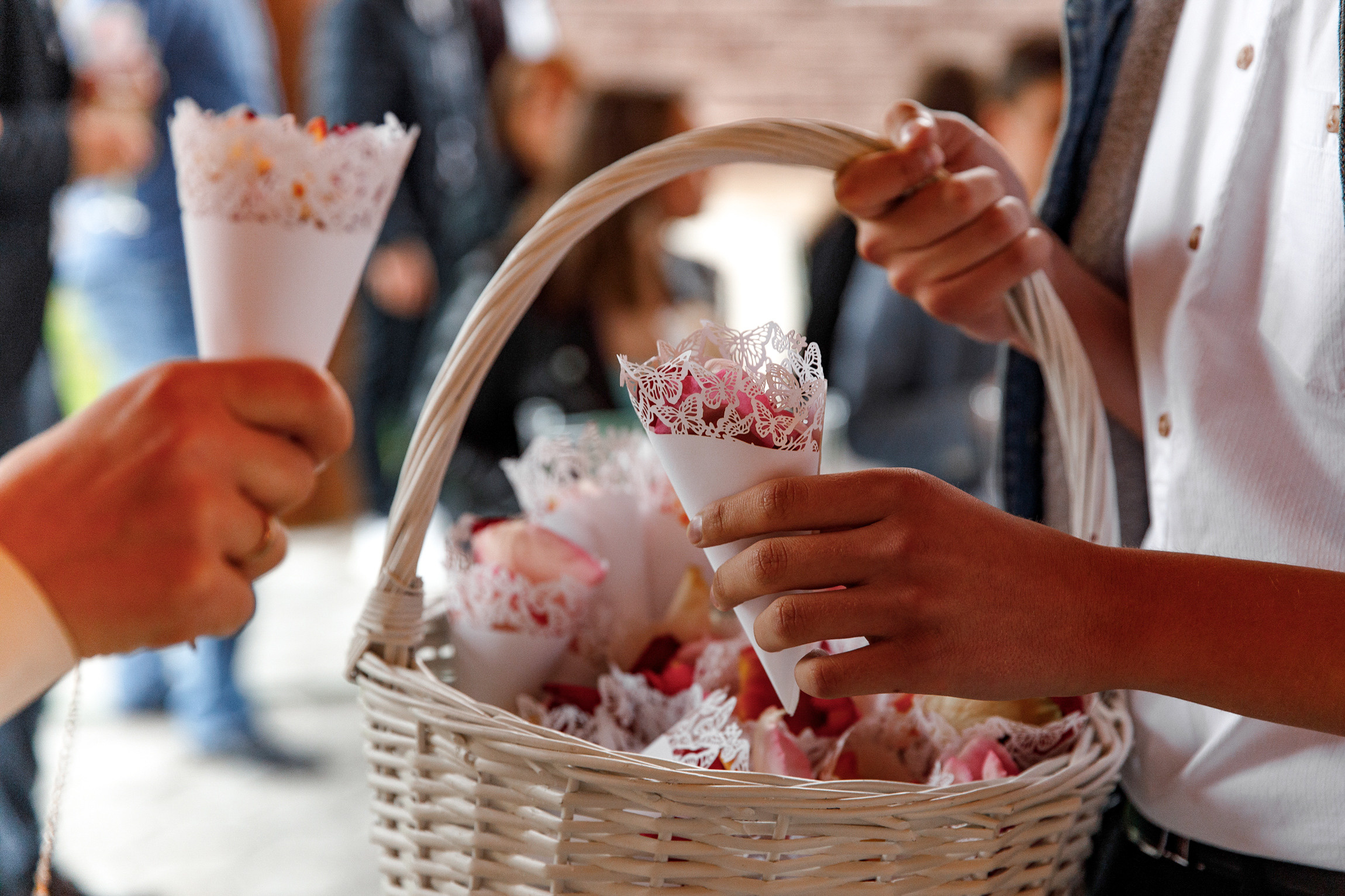 Свадебный Фотограф Анна Руданова. Свадьба Виктора и Виктории