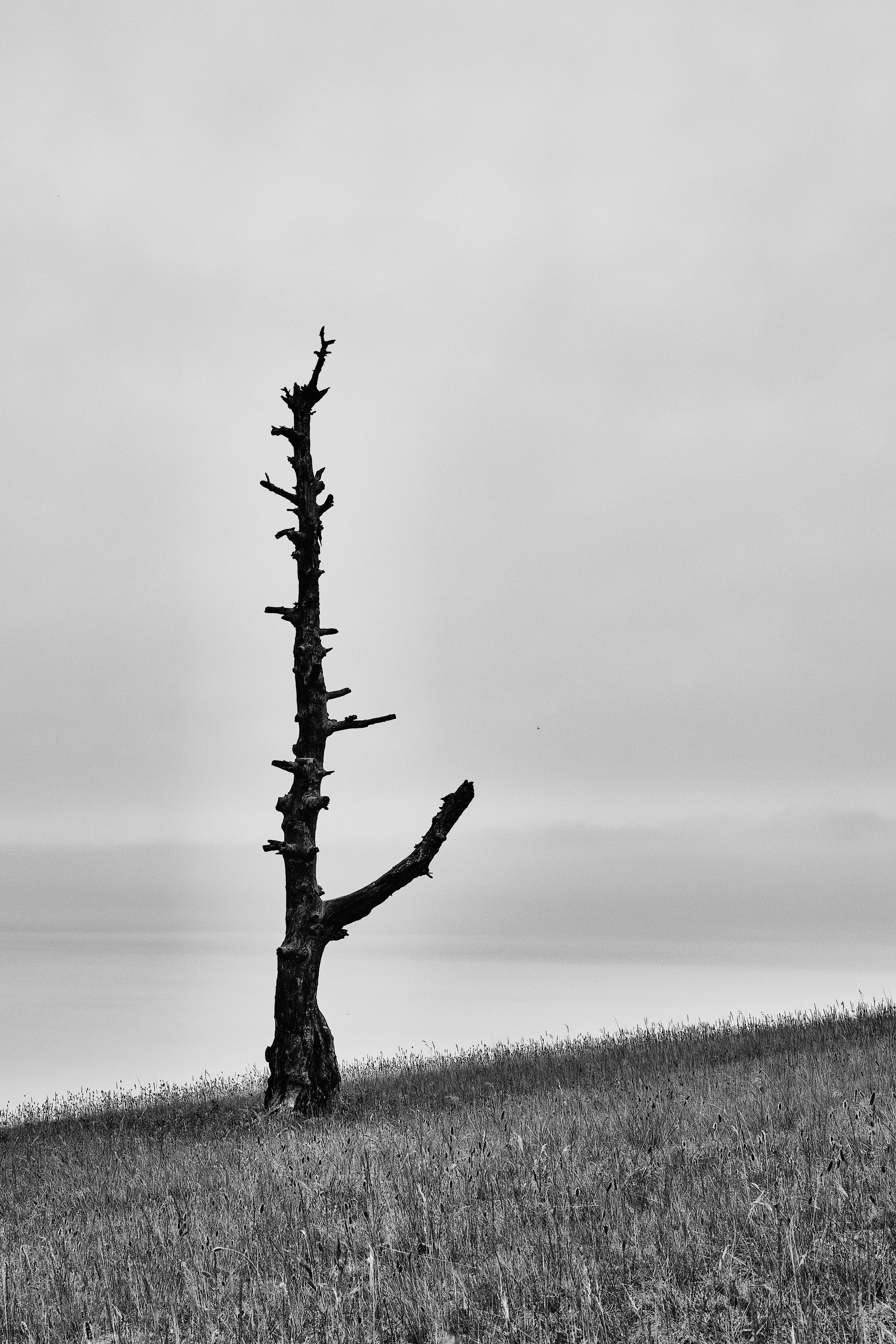 Москва — Владивосток. Охота за образами Мира. Shaltay Gallery