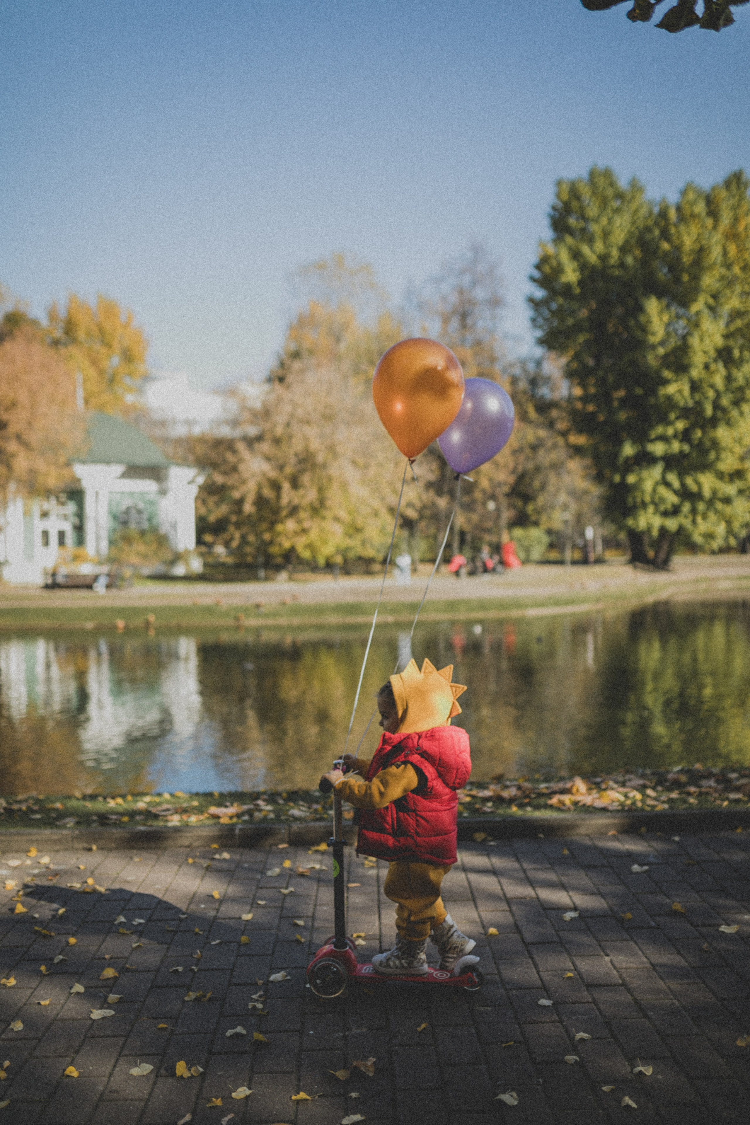 КОГДА ДЕРЕВЬЯ БЫЛИ БОЛЬШИМИ. Фотограф Лебедева Наталья