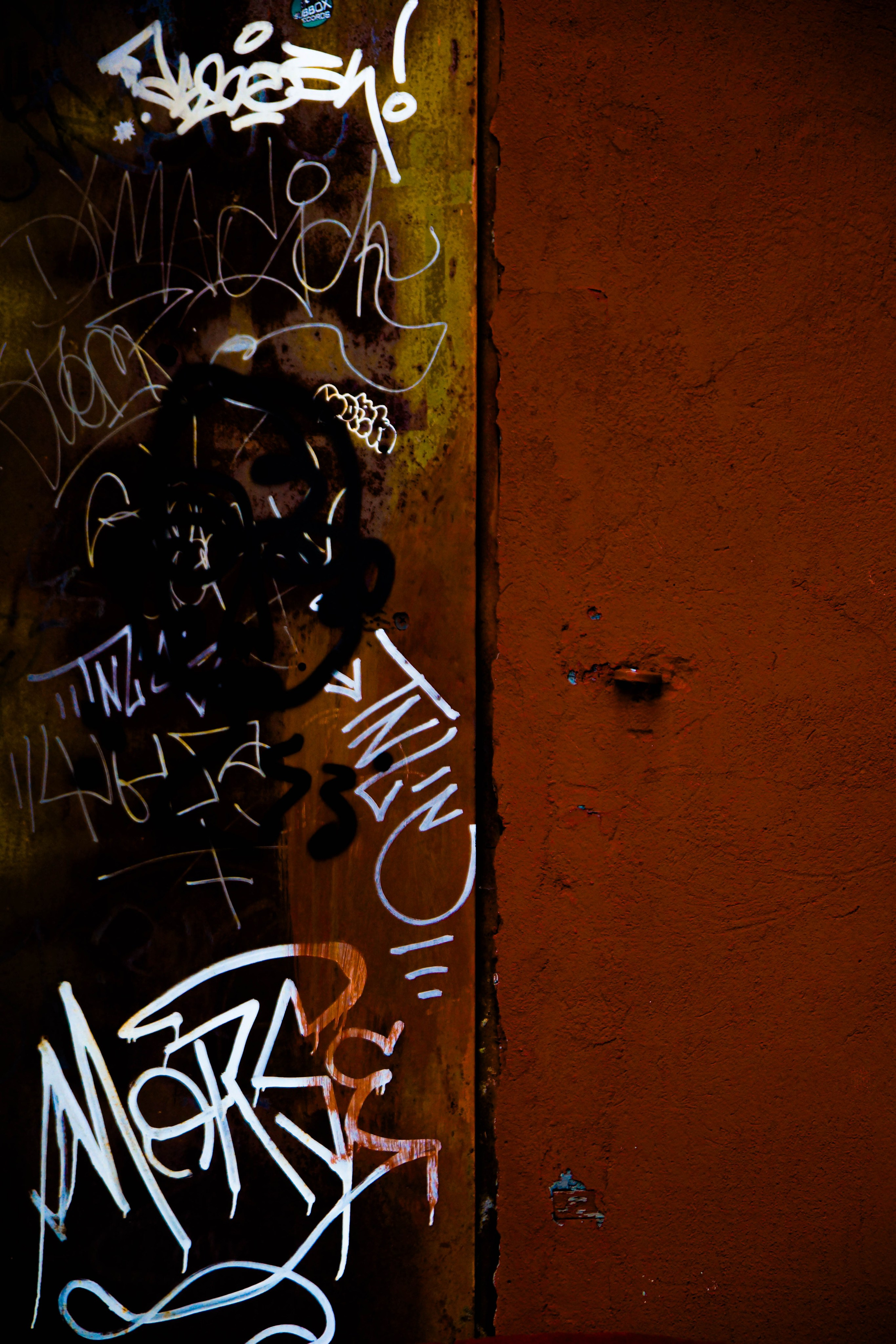 Максим Бруно Аркадович. Потешная фотопленка