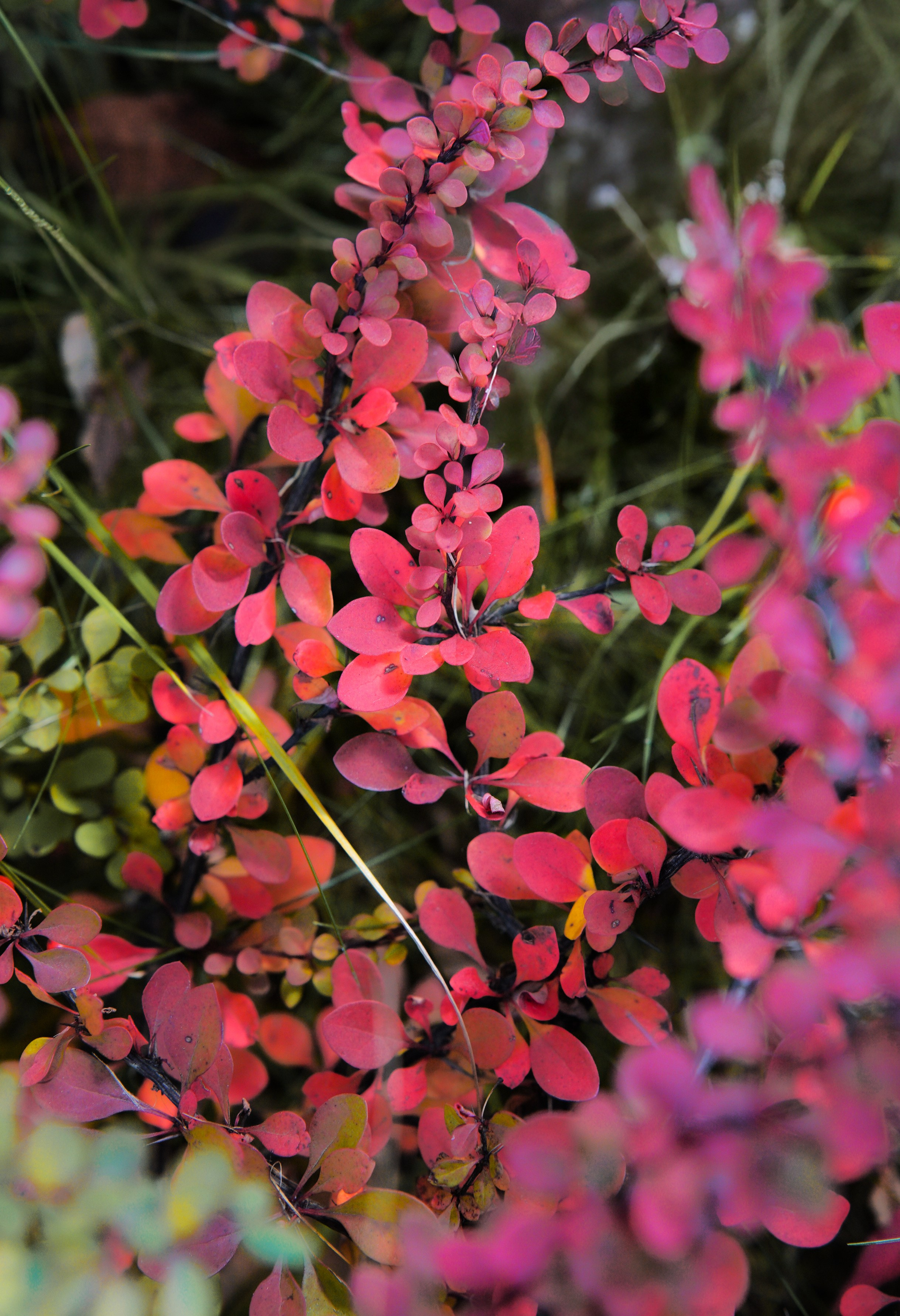 Осень 2025. Фотограф из Москвы — DASHA NOVA | Авторская фотография в разных жанрах