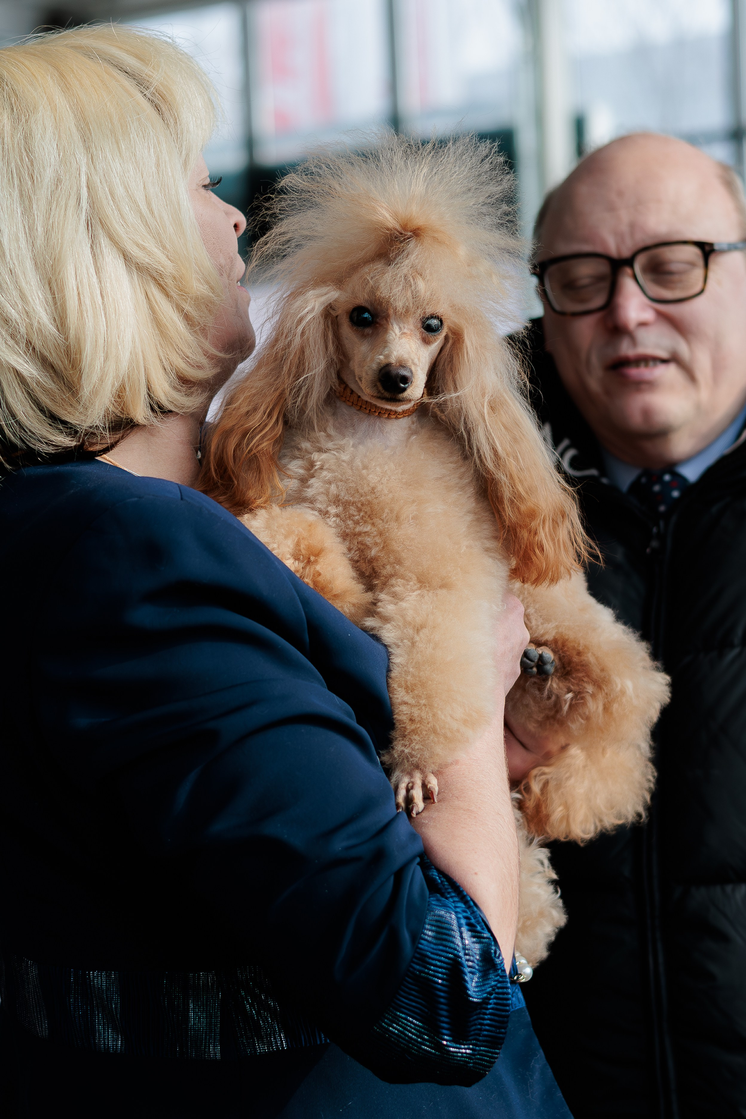 Выставки. Фотограф Марк Файзулин