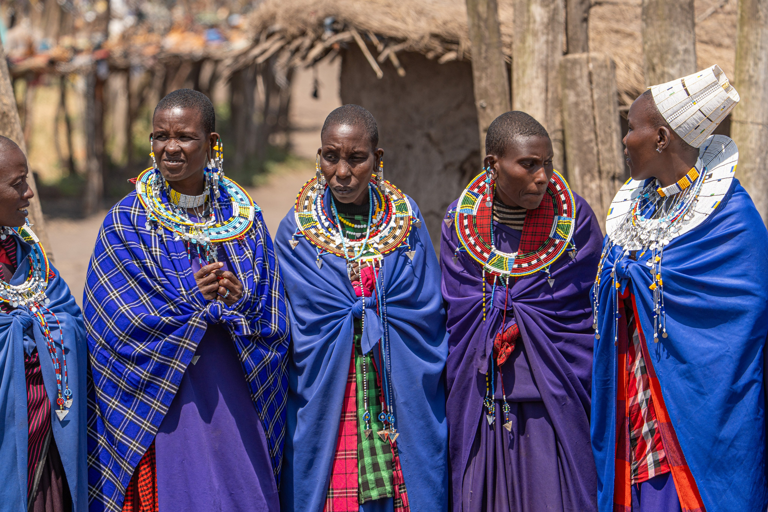 Танзания, сафари, 2025. Творческие сьемки