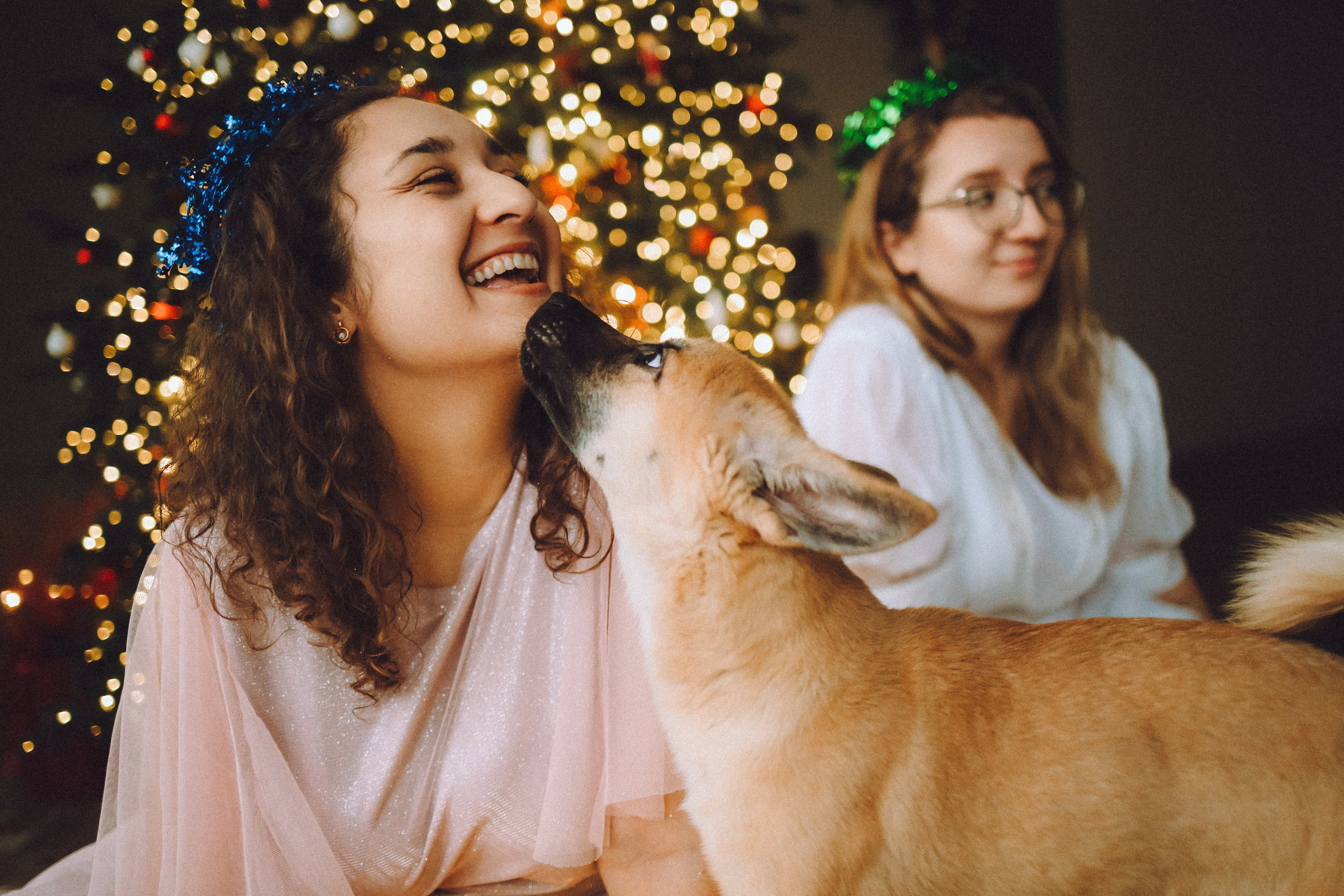 Джули, Шелли и их семья