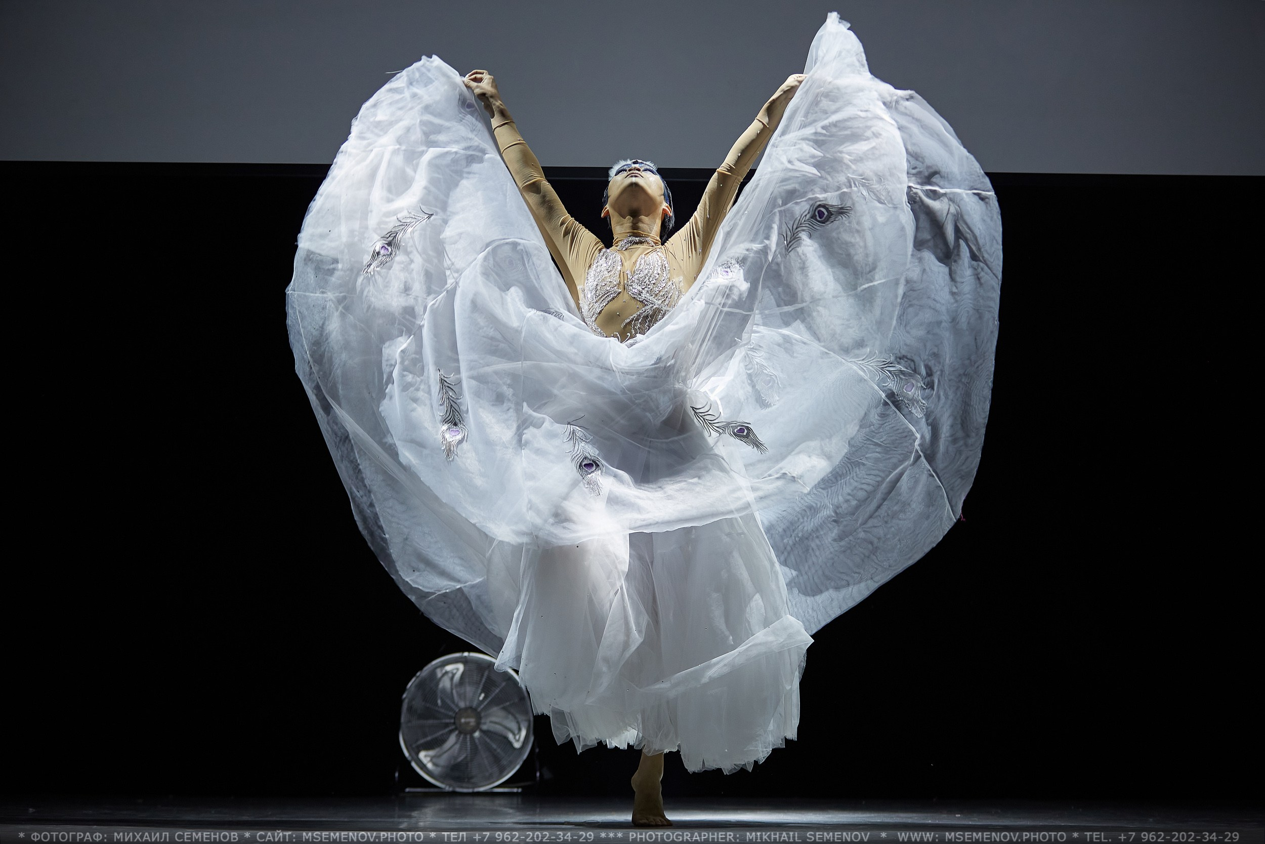 АНОНС фоторепортажа балета-мюзикла «ЖИЛ-БЫЛ КОРОЛЬ». Фотограф, фотопроекты Михаила Семенова в Ярославле. Фотошкола