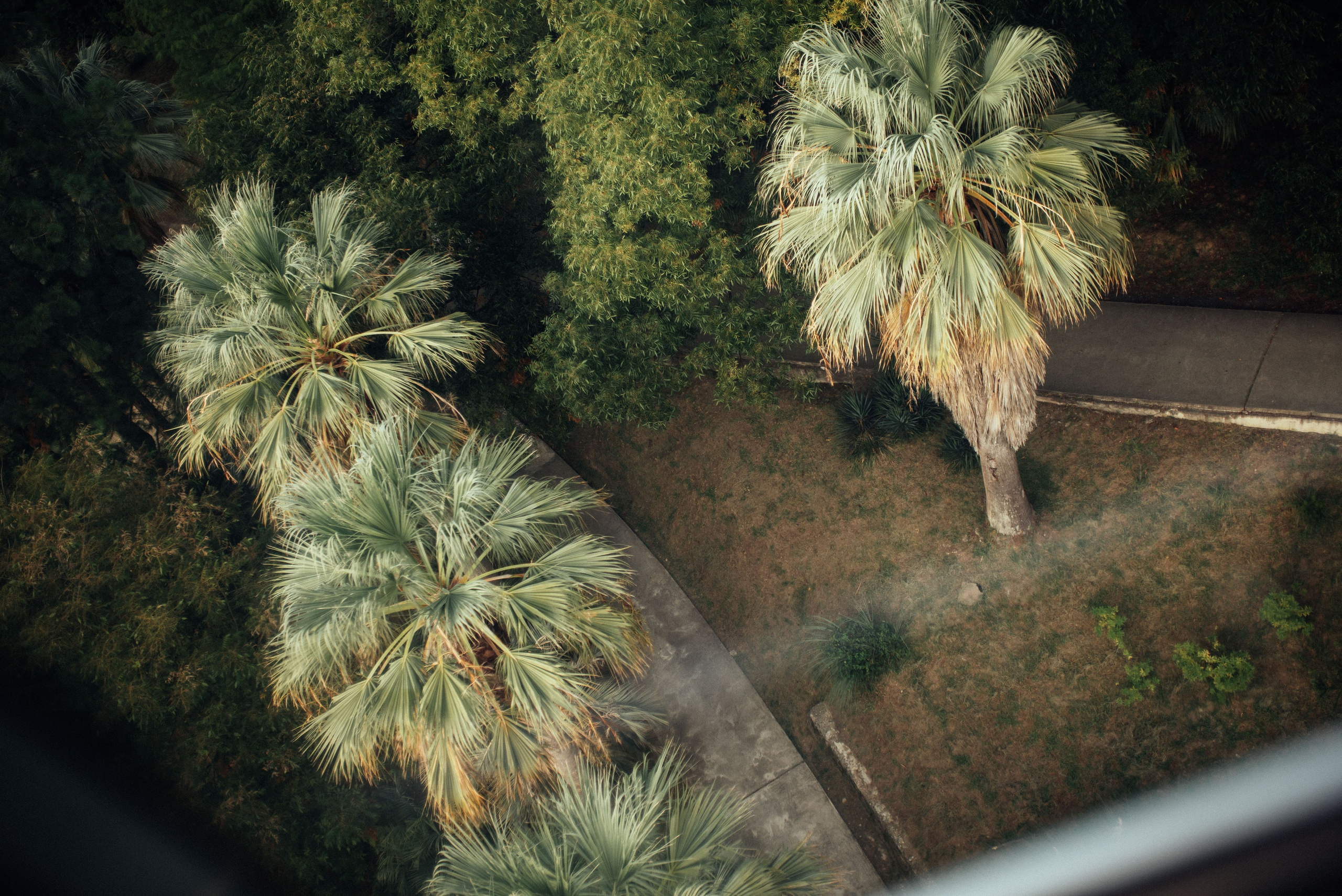 Фотосессия в центре Сочи в парке Дендрарий. Фотограф в Сочи — Маргарита Поганова