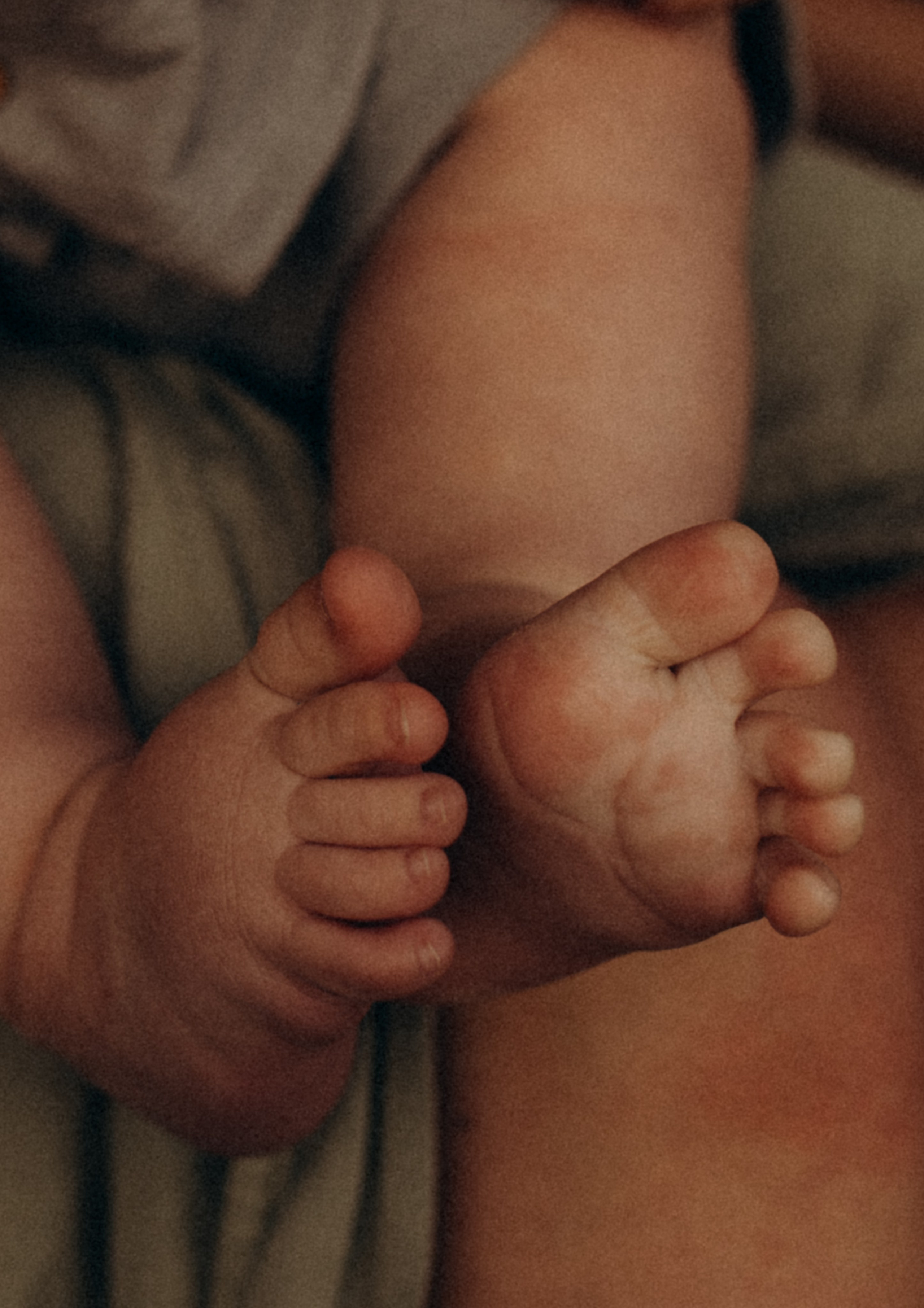 Артем+Кристина+Мирон+Трофим+Прокопий. Услуги