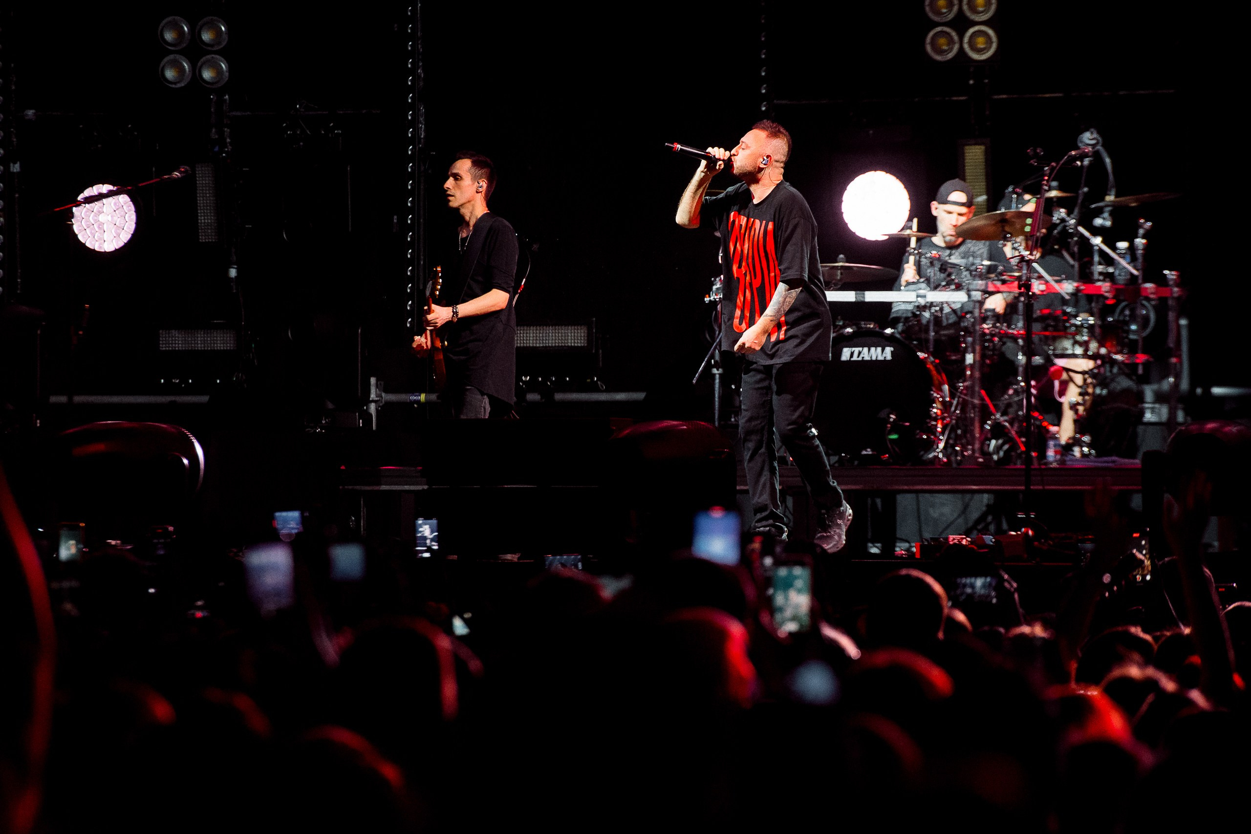 Звери 2025. Репортажный фотограф в Кемерово