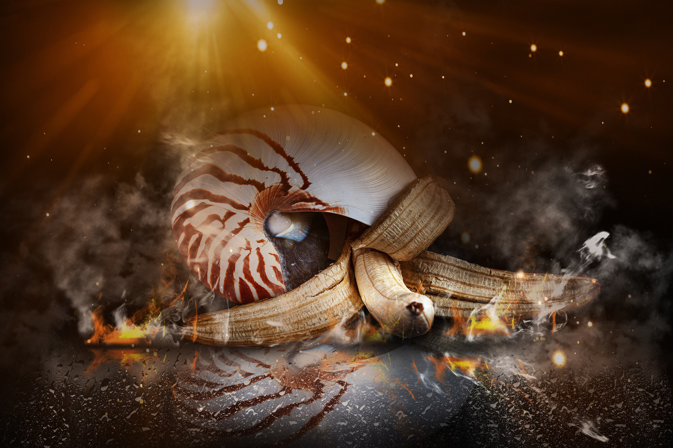 Арт-фотография. Медиапродюсер, фотограф в Минеральных Водах —Виктор Холодов