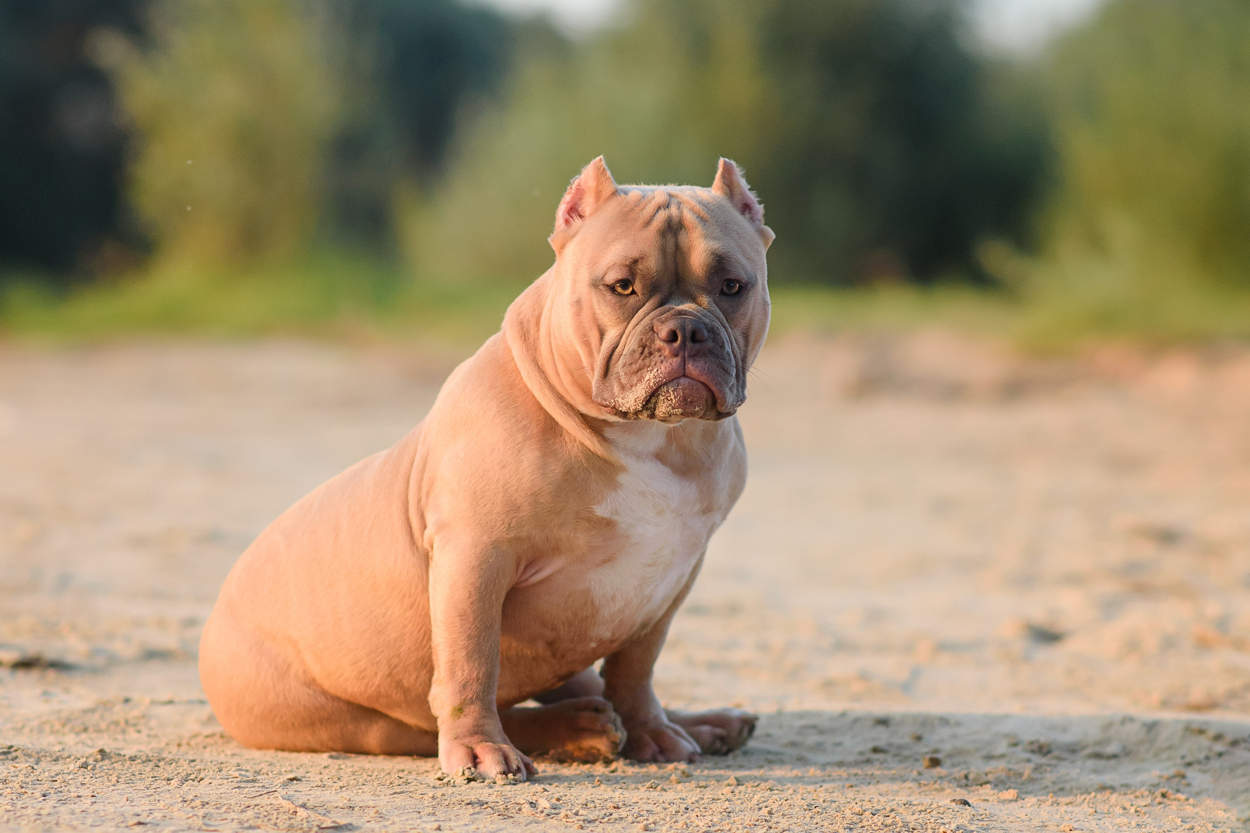 Аляска — Амбулли — 23.08.2024. Фотограф — Анималист | Анна Абрамова