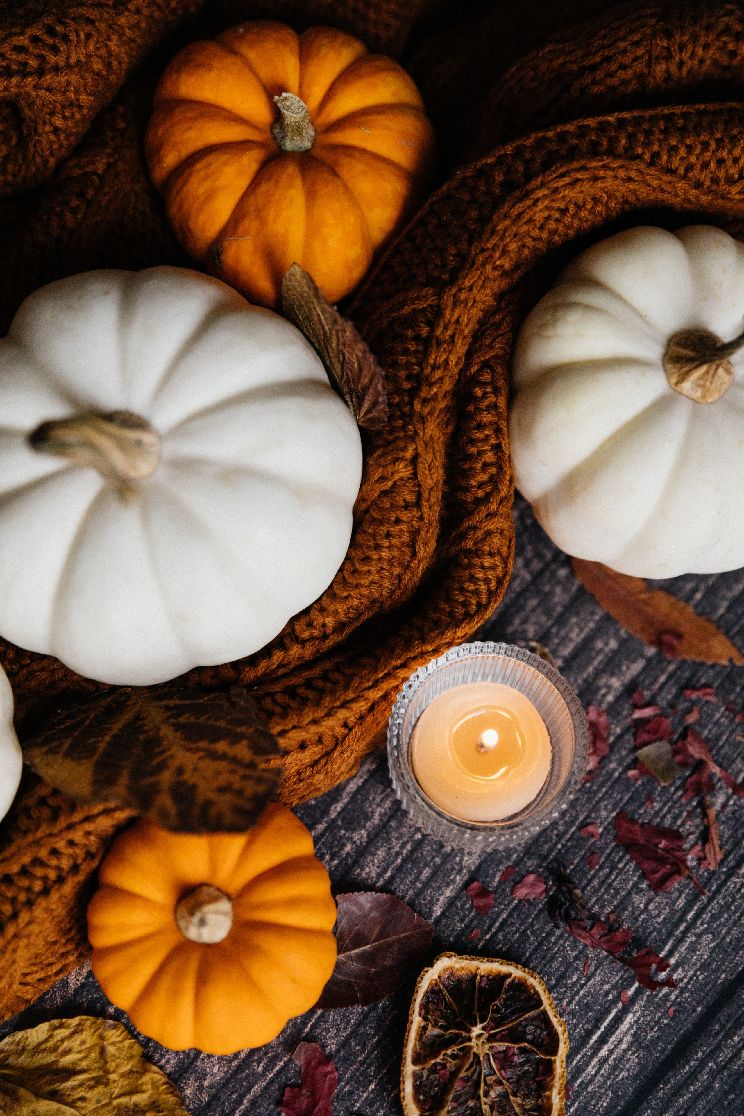 Тыквы. Свадебный и портретный фотограф в Новокузнецке Екатерина Авдеева