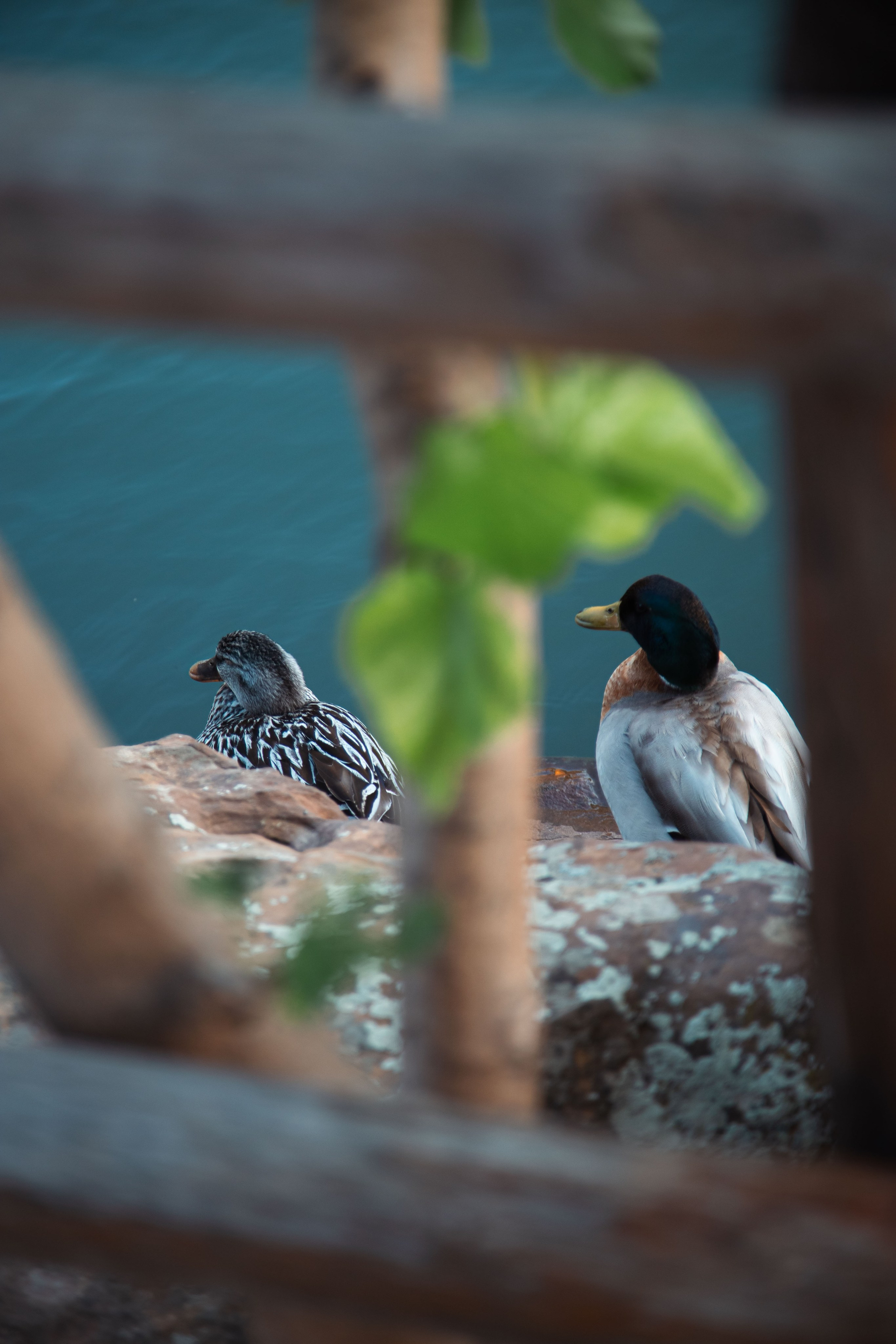 Главрыба. Dmitriy [KCCC] is a pretty cool photographer