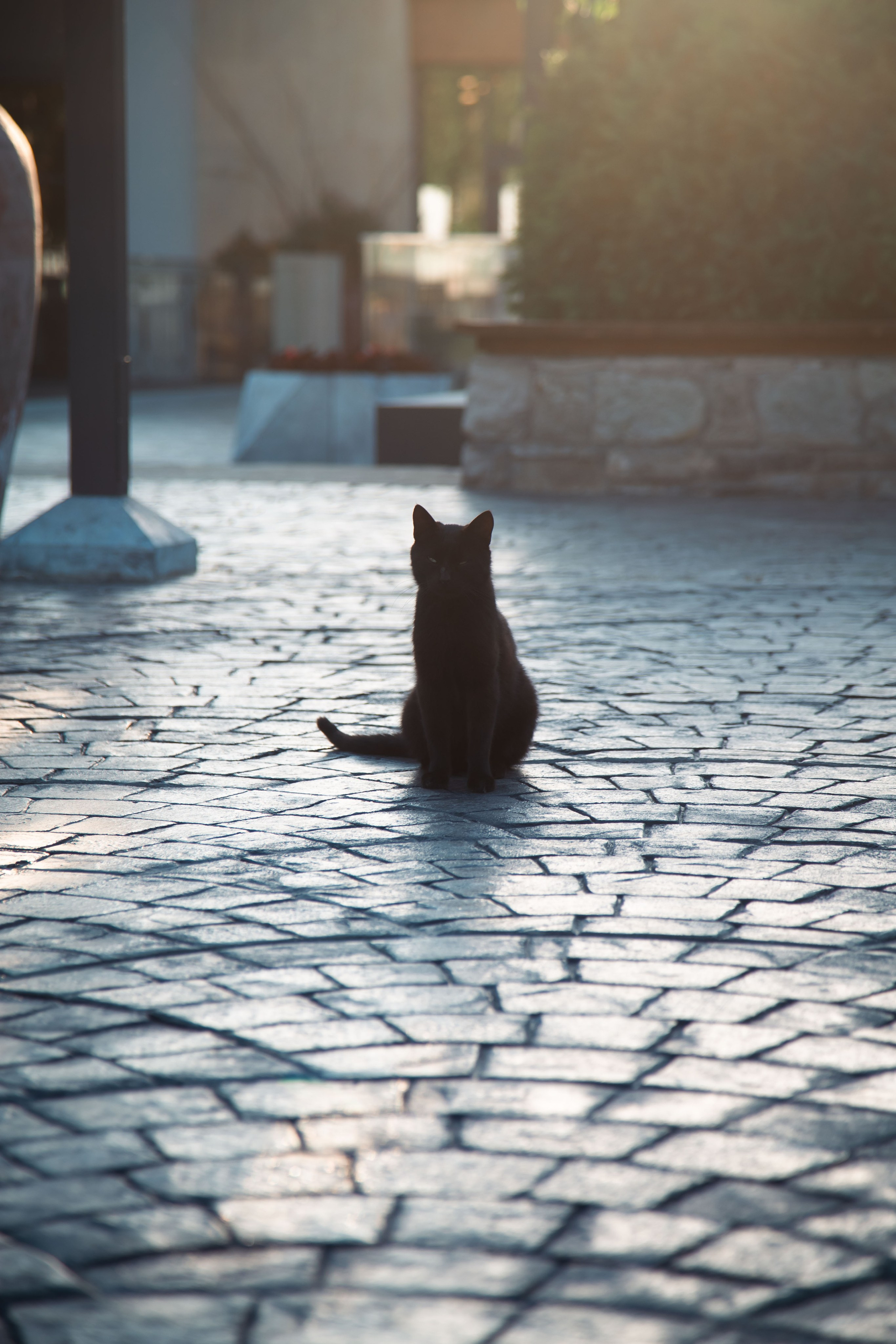 Главрыба. Dmitriy [KCCC] is a pretty cool photographer