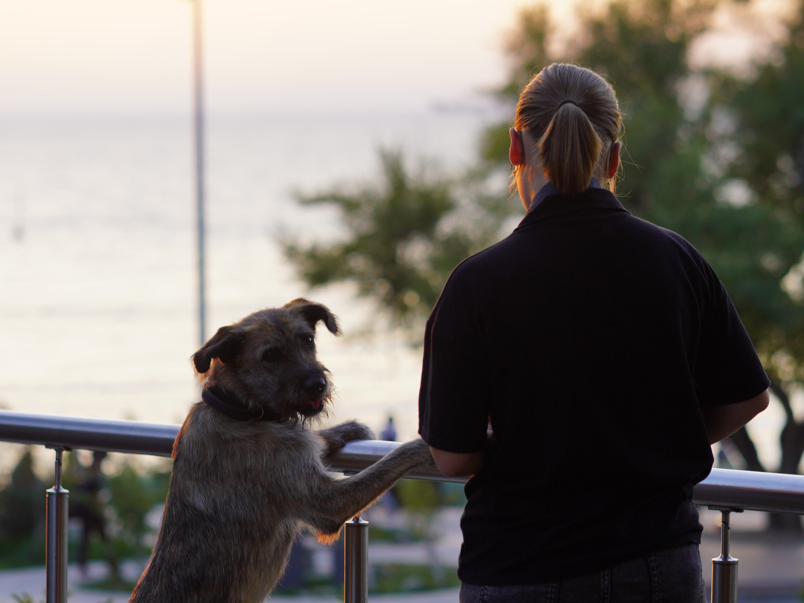 Фото девушки с собачкой. Фотограф Владивосток (художественный портрет, празднование, торжество, мероприятие, фотопрогулка)