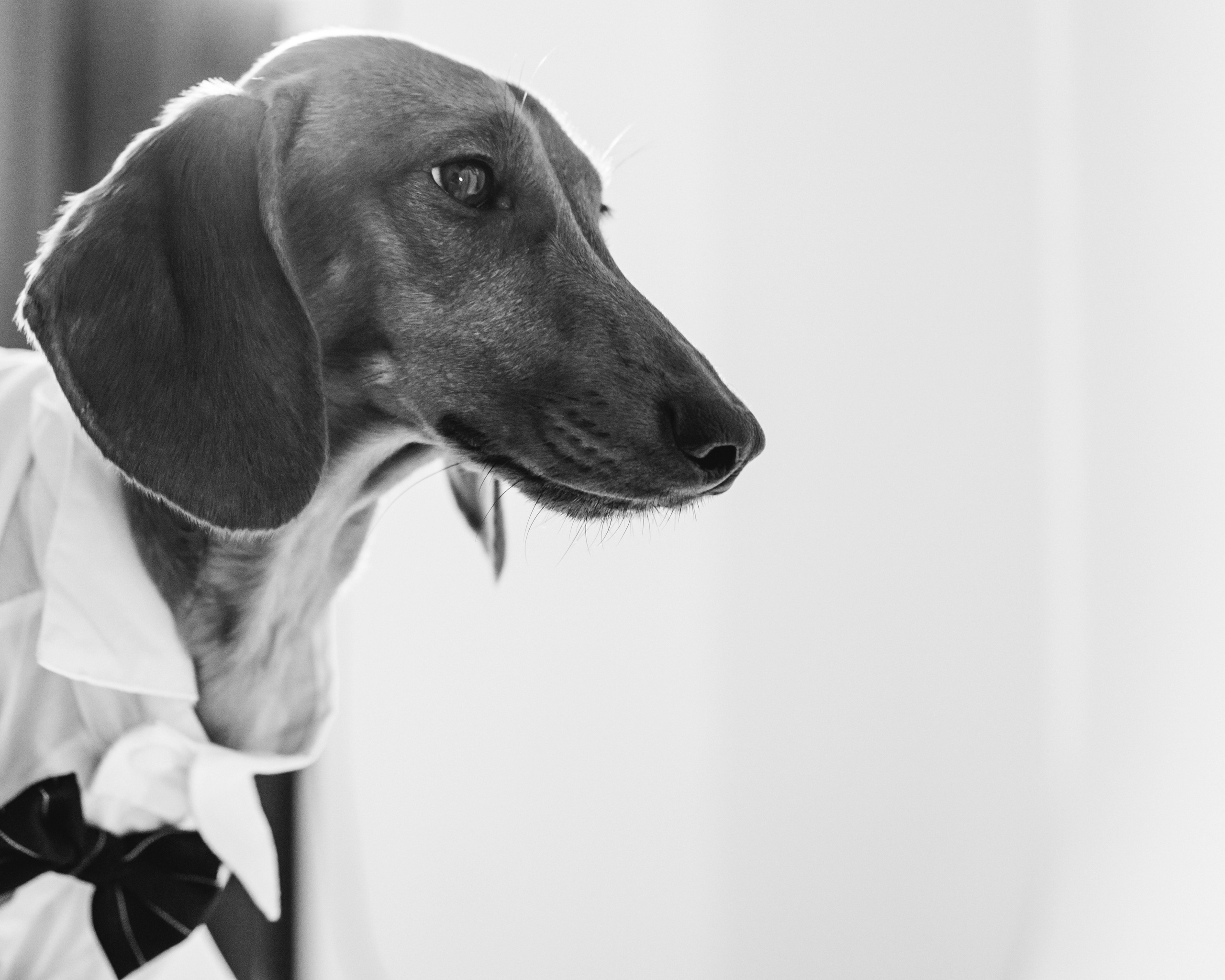 Анна и Сальвадор. Фотограф в Москве Юлия Першина