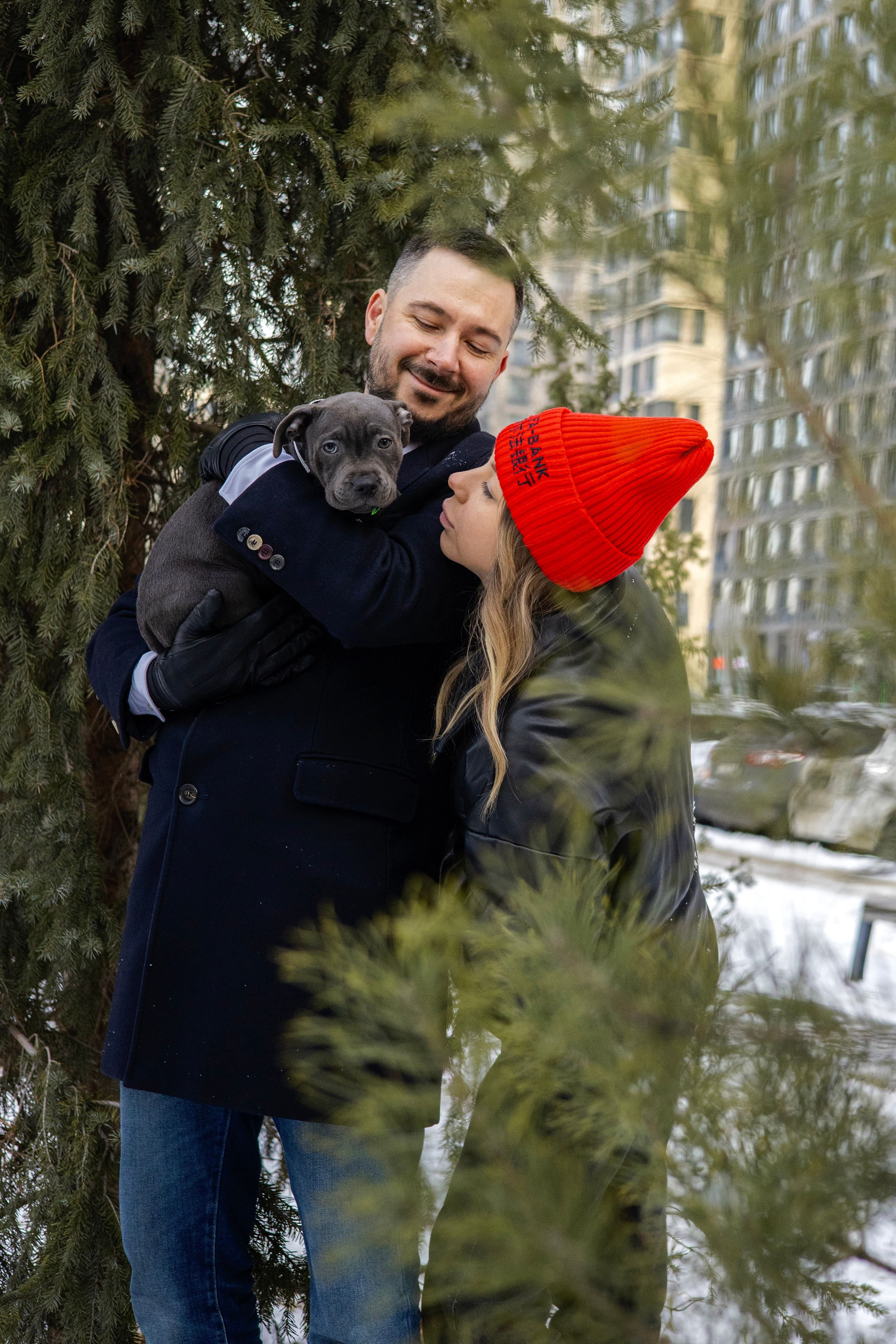 Дарси, Тимур и Юля. Фотограф-анималист Ксения Шевцова|Москва