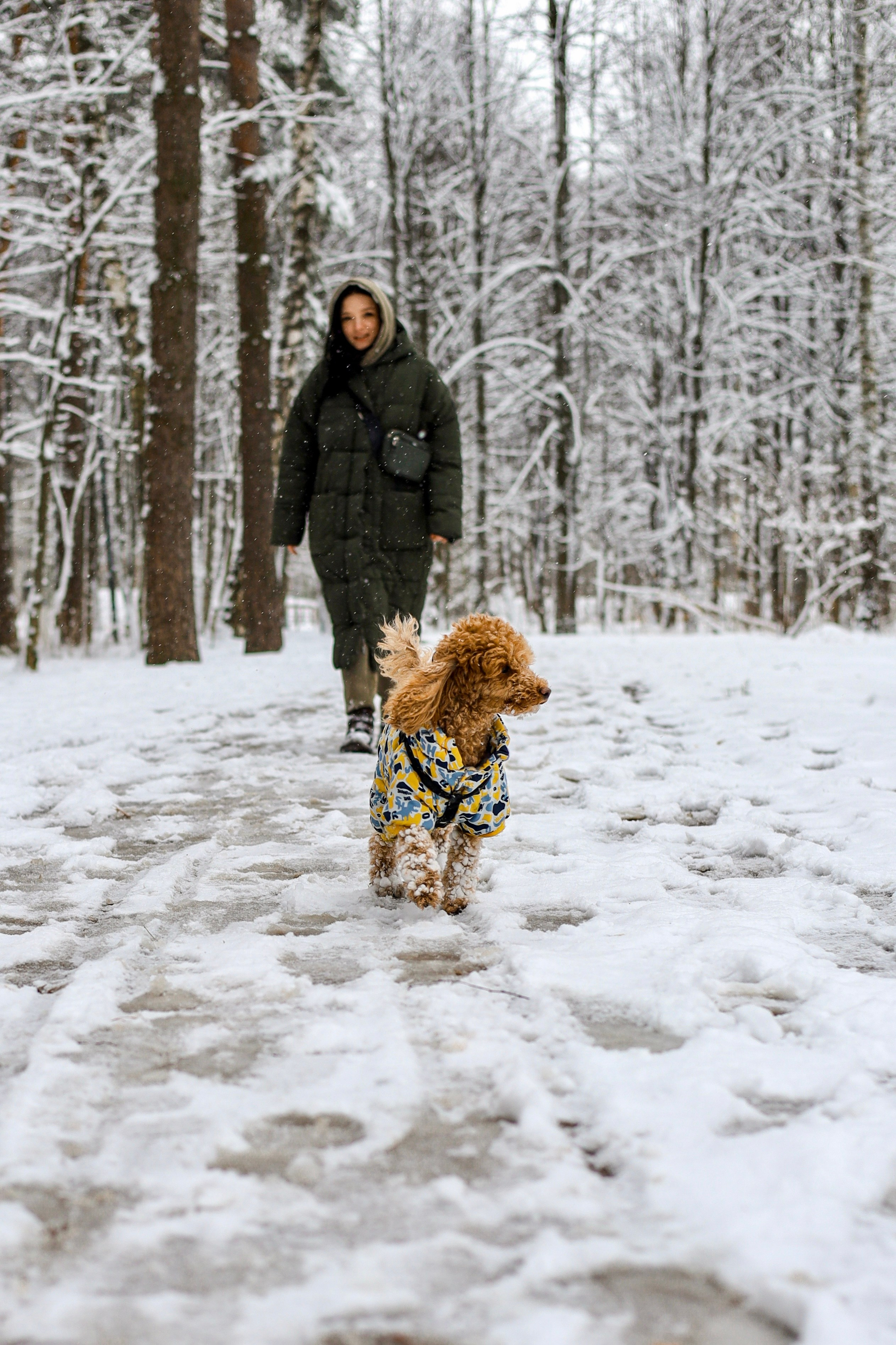 Муд и Леся. Фотограф-анималист Ксения Шевцова|Москва