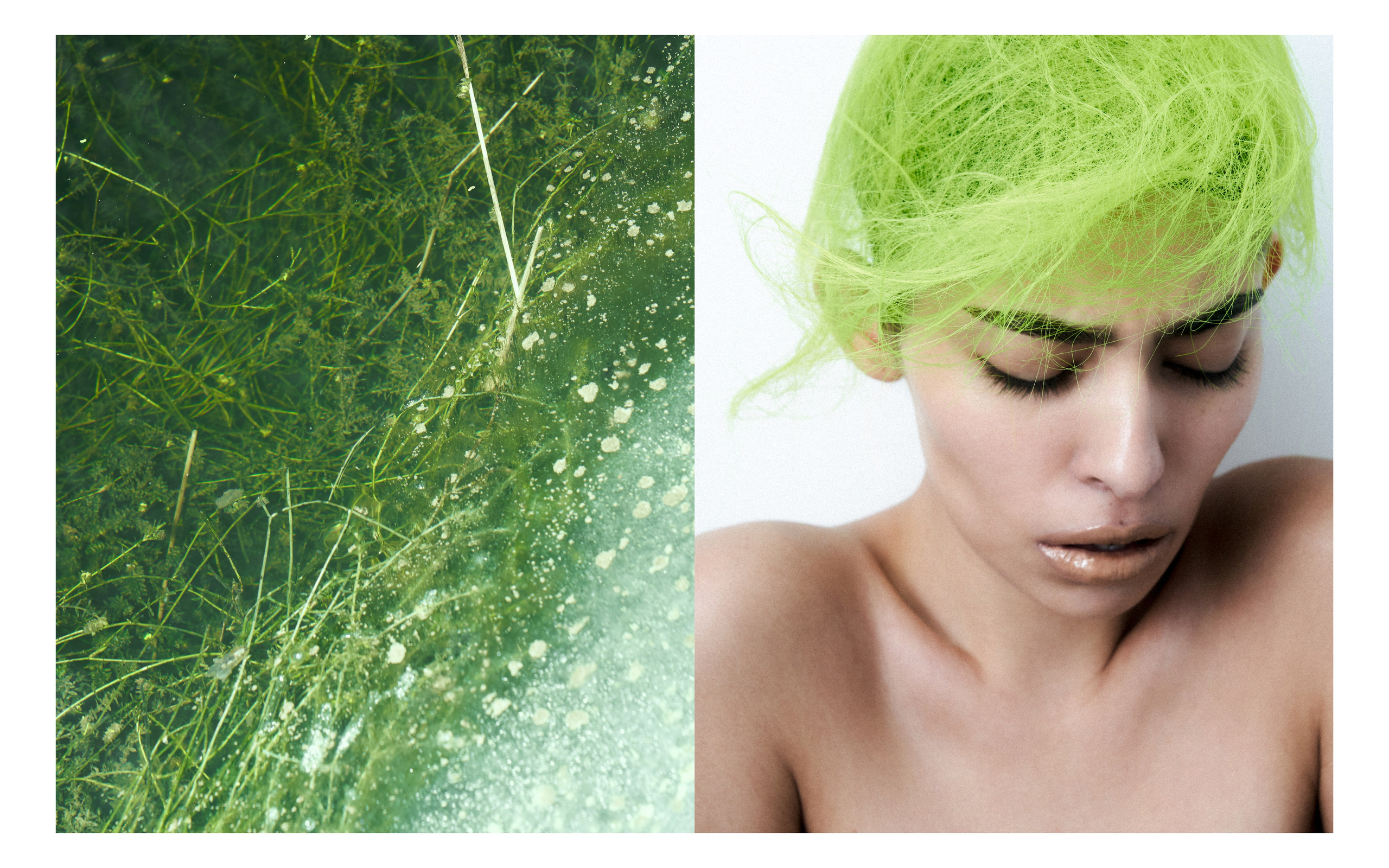 Art project Rosya part I