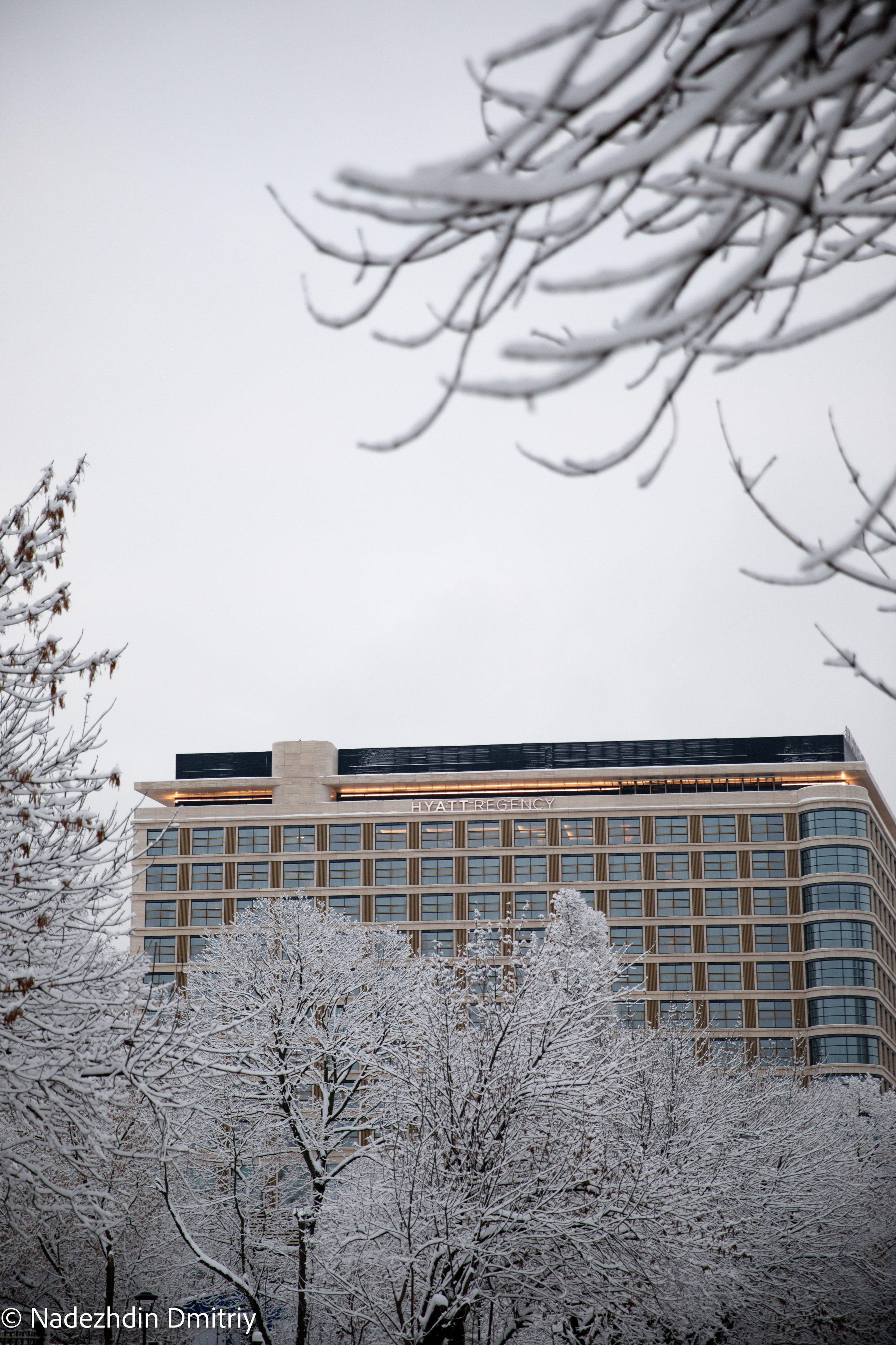 Lexus ERM. Nadezhdin Studio