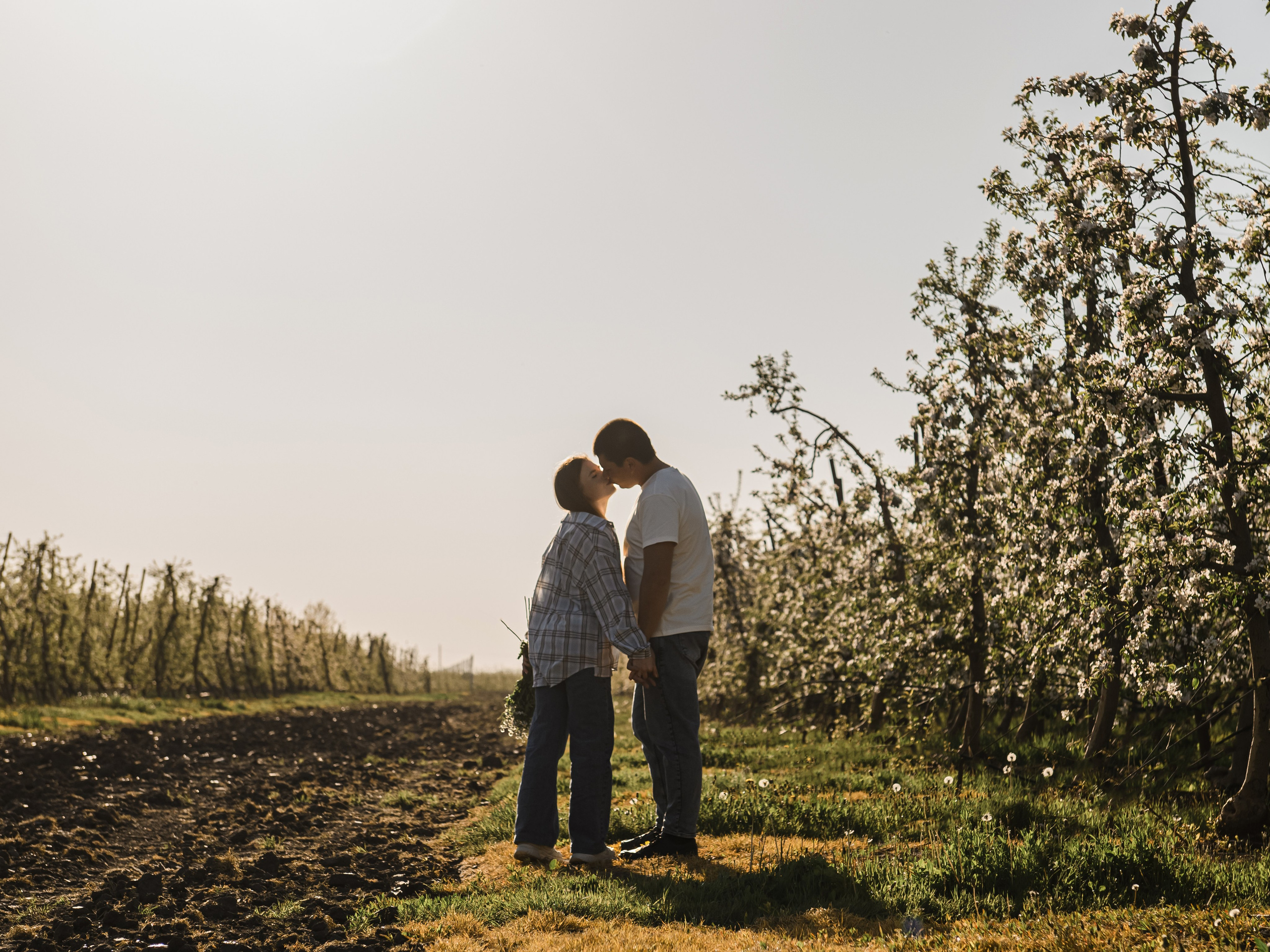 Яблоневый сад. Свадебный и семейный фотограф в Славянске-на-Кубани Прохорова Алёна