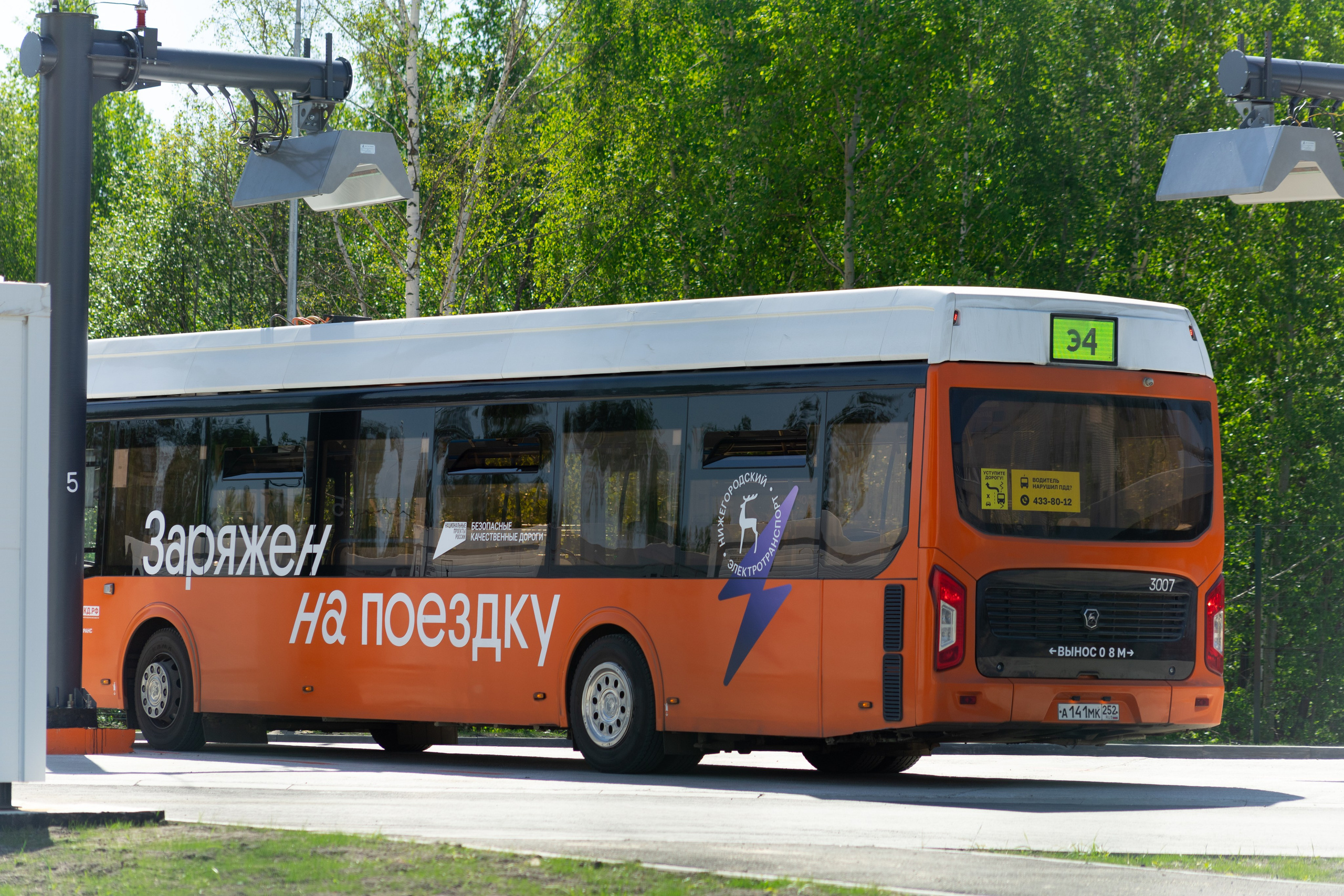 Торпедо. Фотограф Мурманск | Нижний Новгород • Анна Хижняк