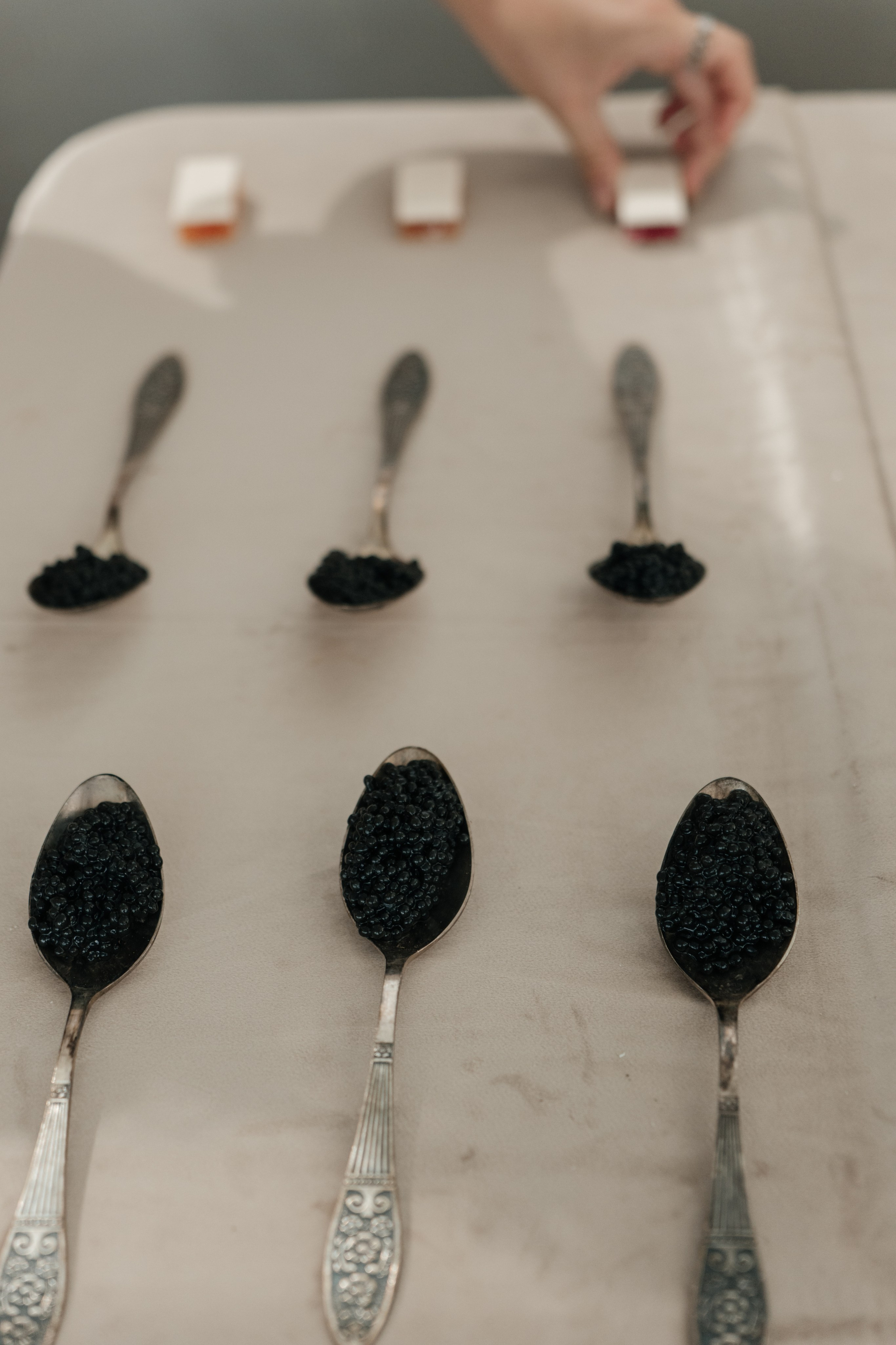 Leonid & Christina. Свадебное ФОТО & ВИДЕО Москва/Липецк