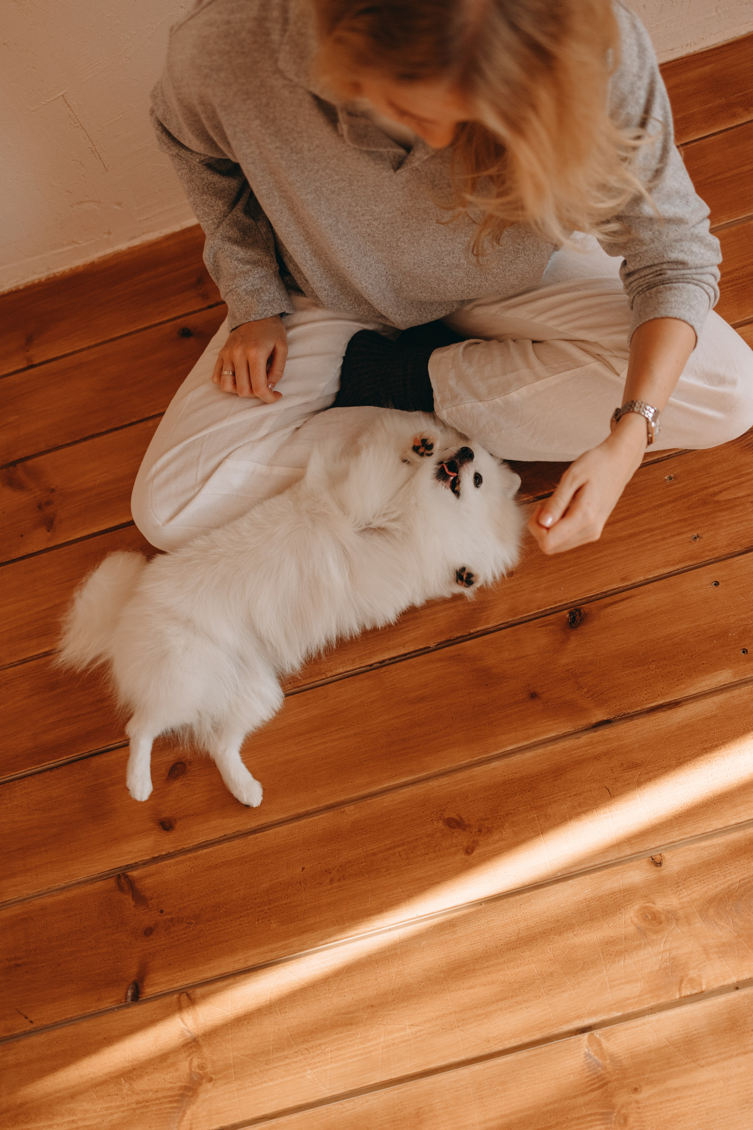 Джесси и ее семья. Фотограф — Анималист | Санкт-Петербург