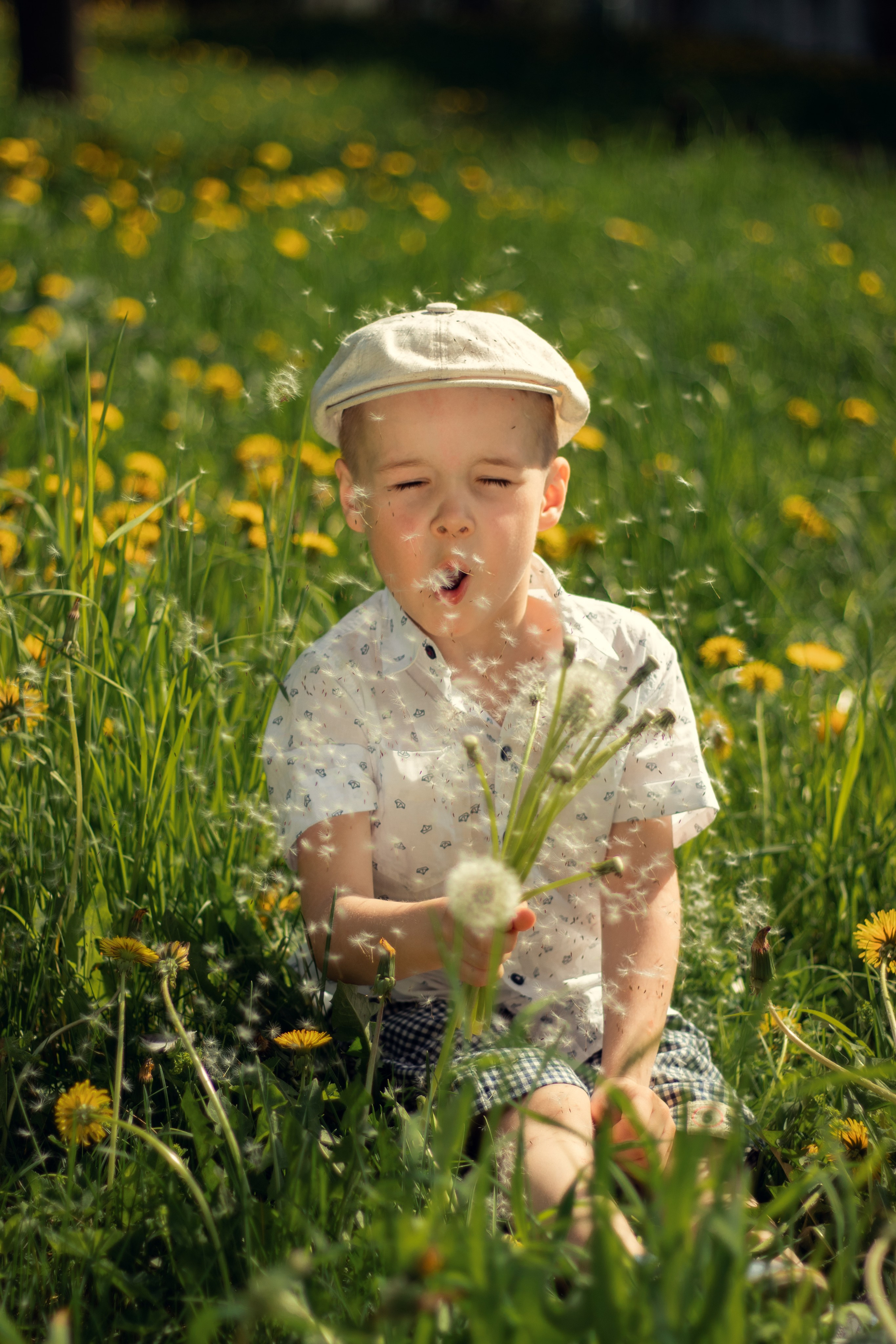 Одуванчиковое настроение